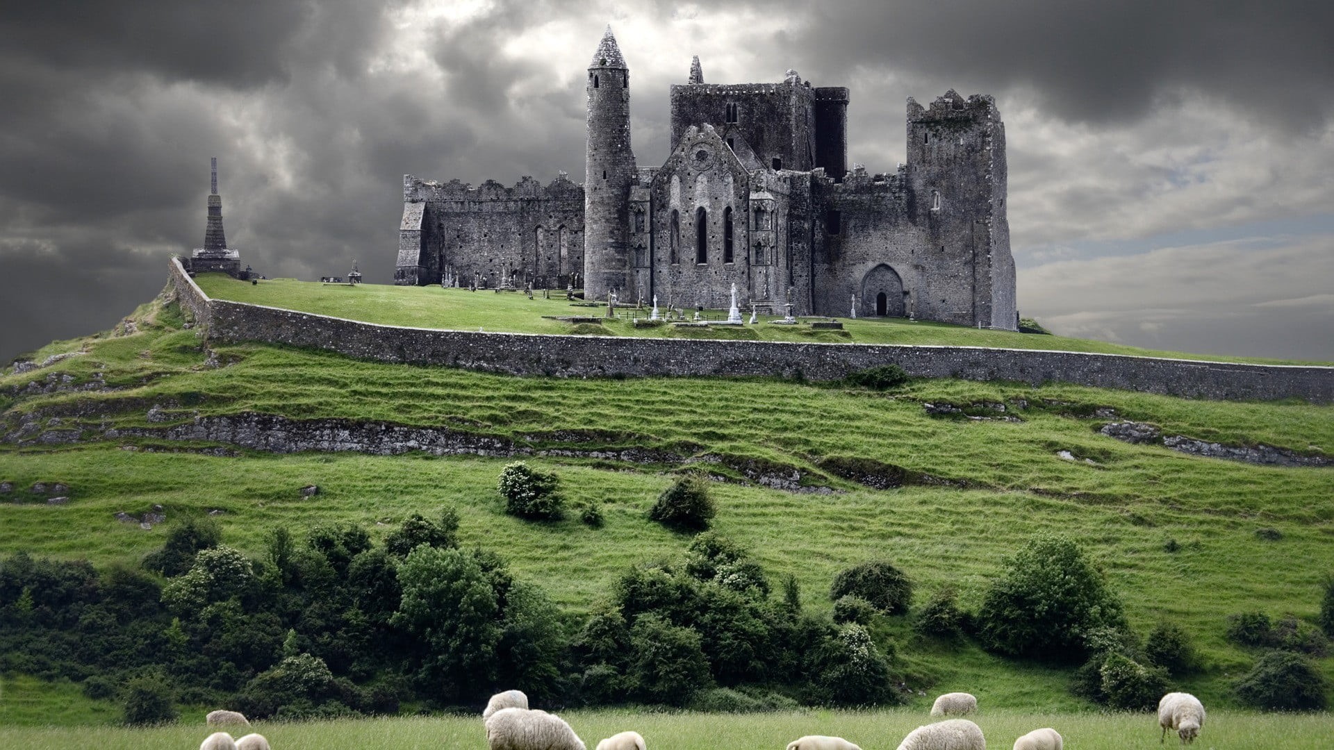 history, ancient, ruin, 1080P, land, old ruin, gray, grass, the past, plant, building exterior, built structure, green color, sheep, travel destinations, HD Wallpaper