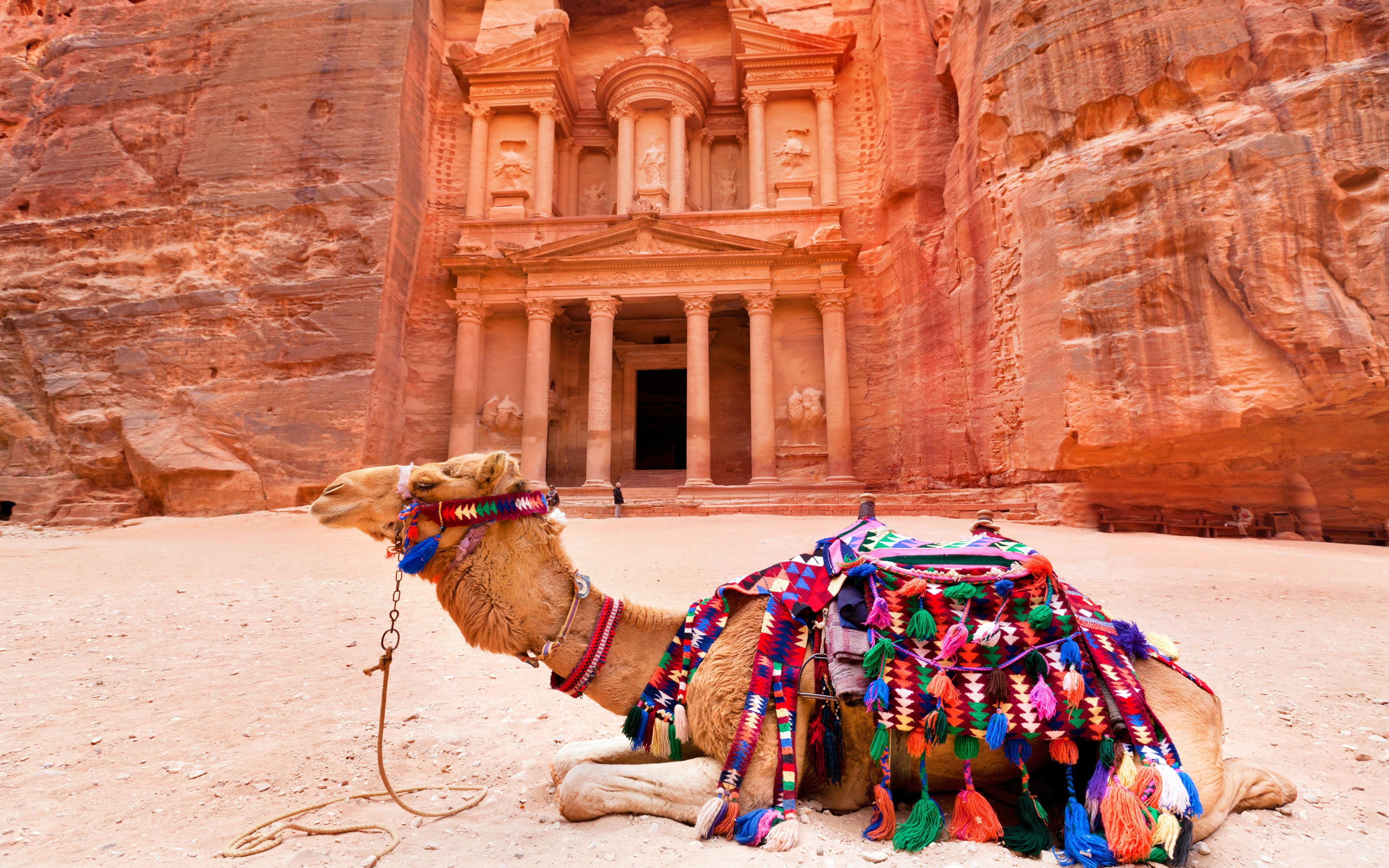 front, archaeology, animal themes, built structure, architecture, pets, photo, building exterior, nature, arid climate, climate, day, southwestern, HD Wallpaper
