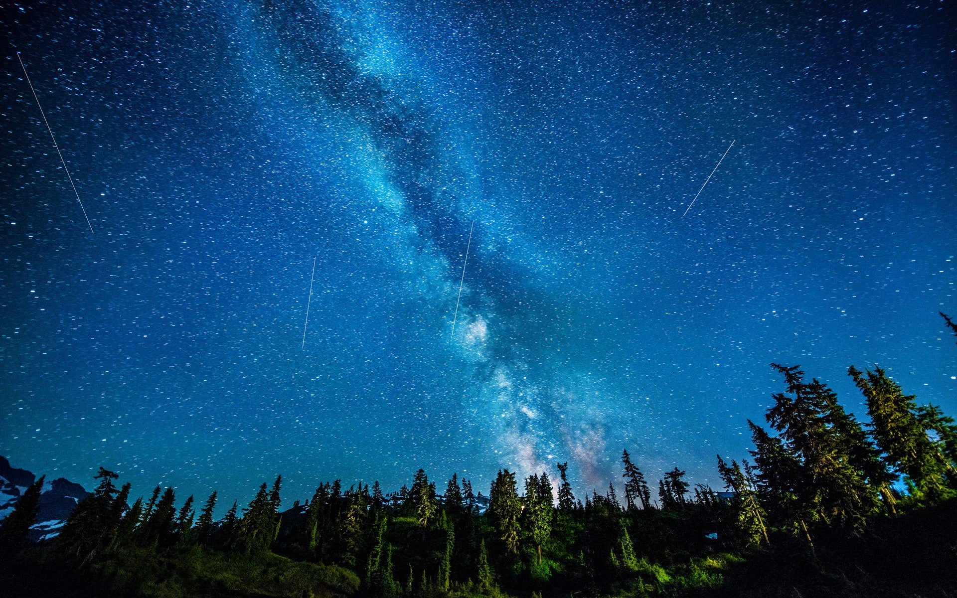 plant, tranquility, growth, low angle view, space, nature, galaxy, no people, night, tree, space and astronomy, scenics - nature, star field, 1080P, tranquil scene, HD Wallpaper