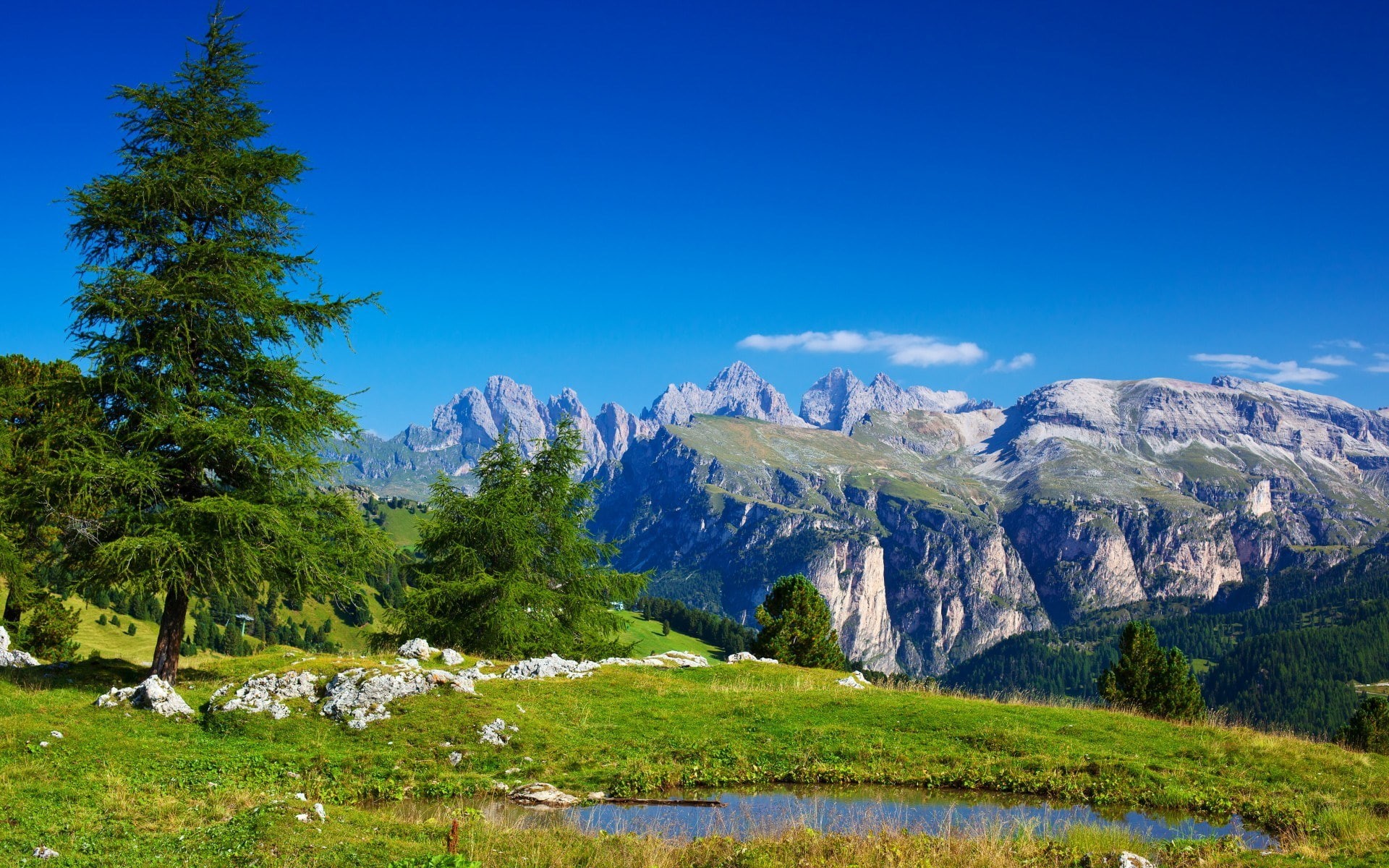 1080P, pc backgrounds hd nature  1920x1200, HD Wallpaper