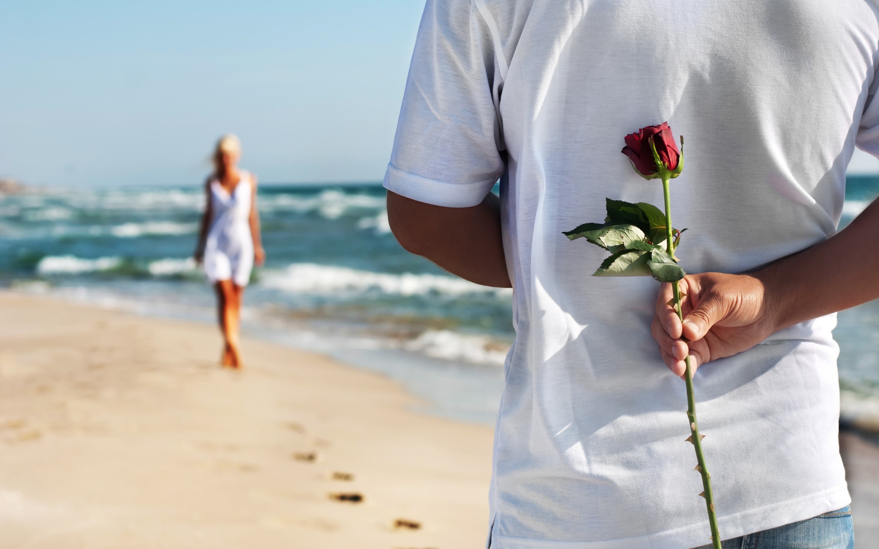 Happy, 2K, people, flower, rose, red, romantic, Love, couple, HD Wallpaper