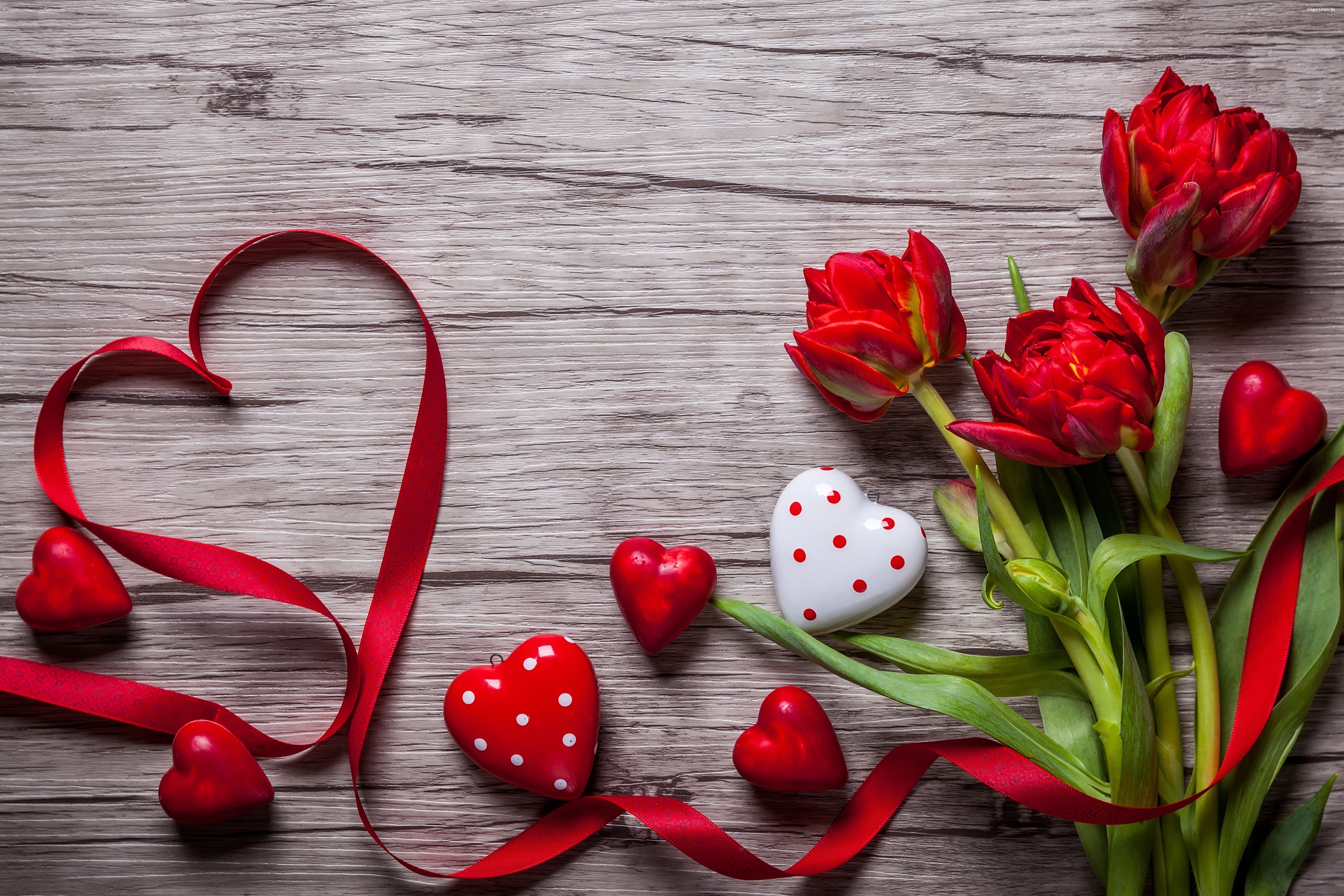5k, flowers, heart, love image, tulips, 5K, Valentines Day, HD Wallpaper