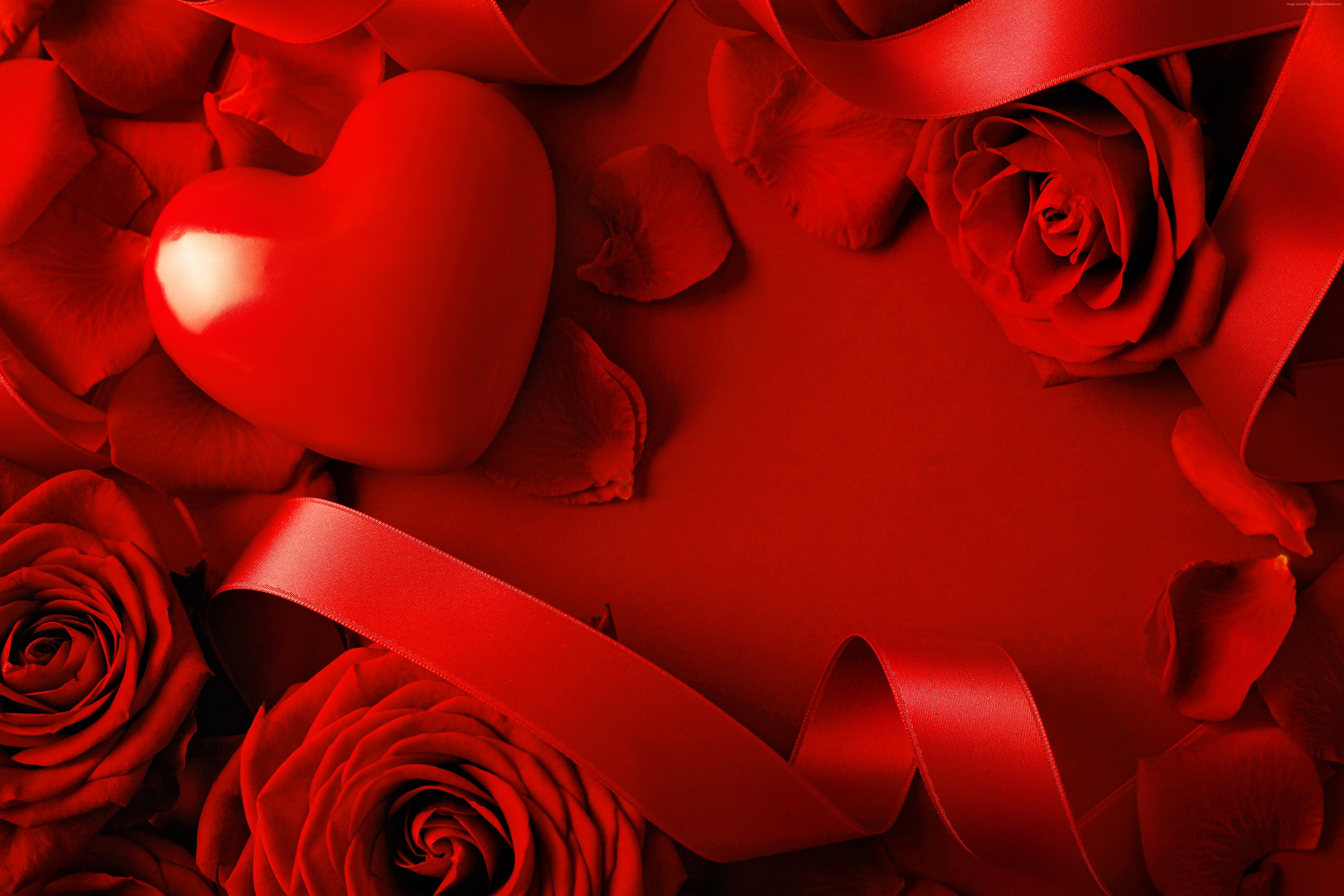 5K, red, love, ribbon, Heart, Rose, romantic, Valentines Day, HD Wallpaper