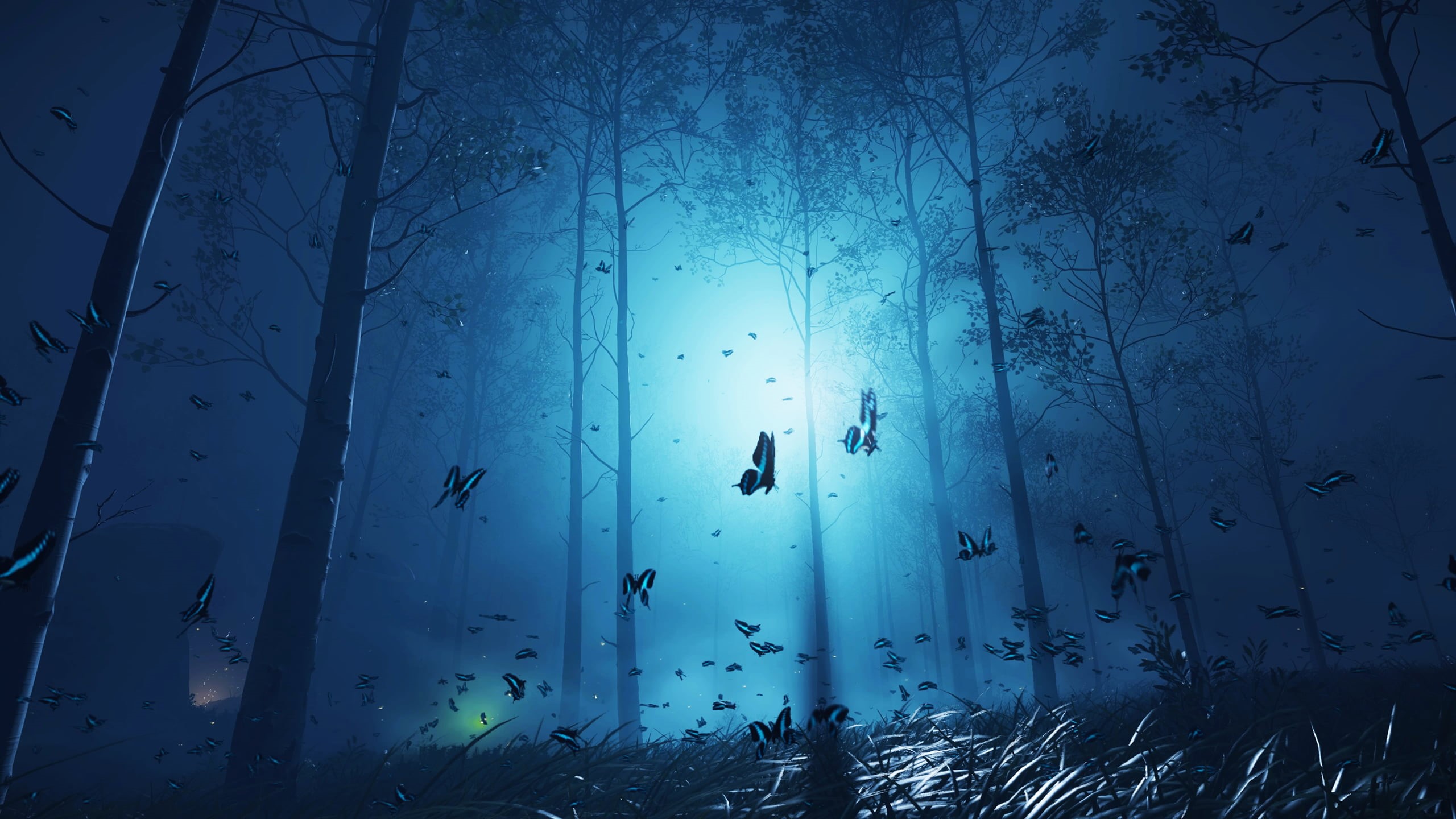 2K, Ghost of Tsushima, moonlight, butterfly, HD Wallpaper