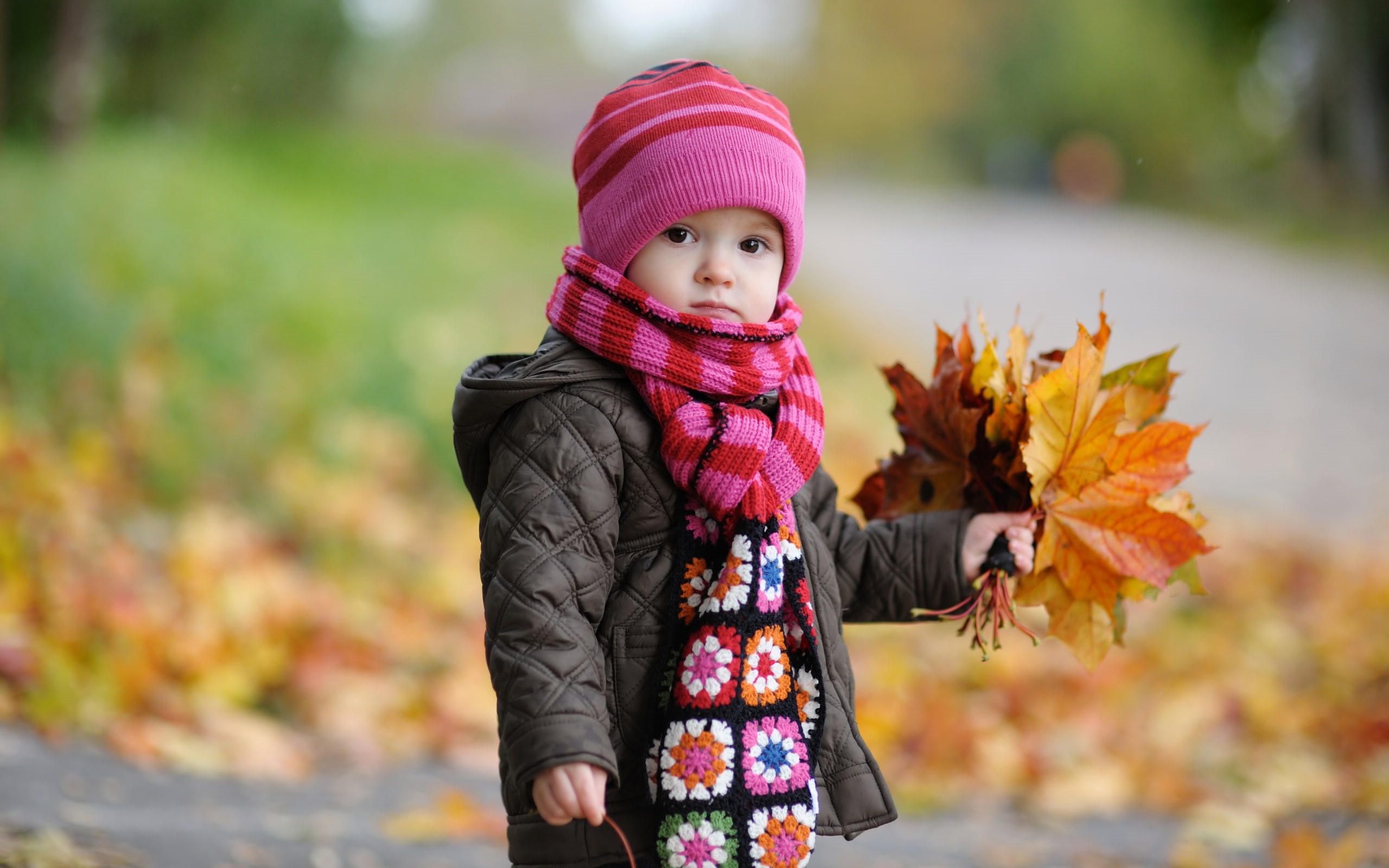 autumn, cute, baby, 2K, HD Wallpaper