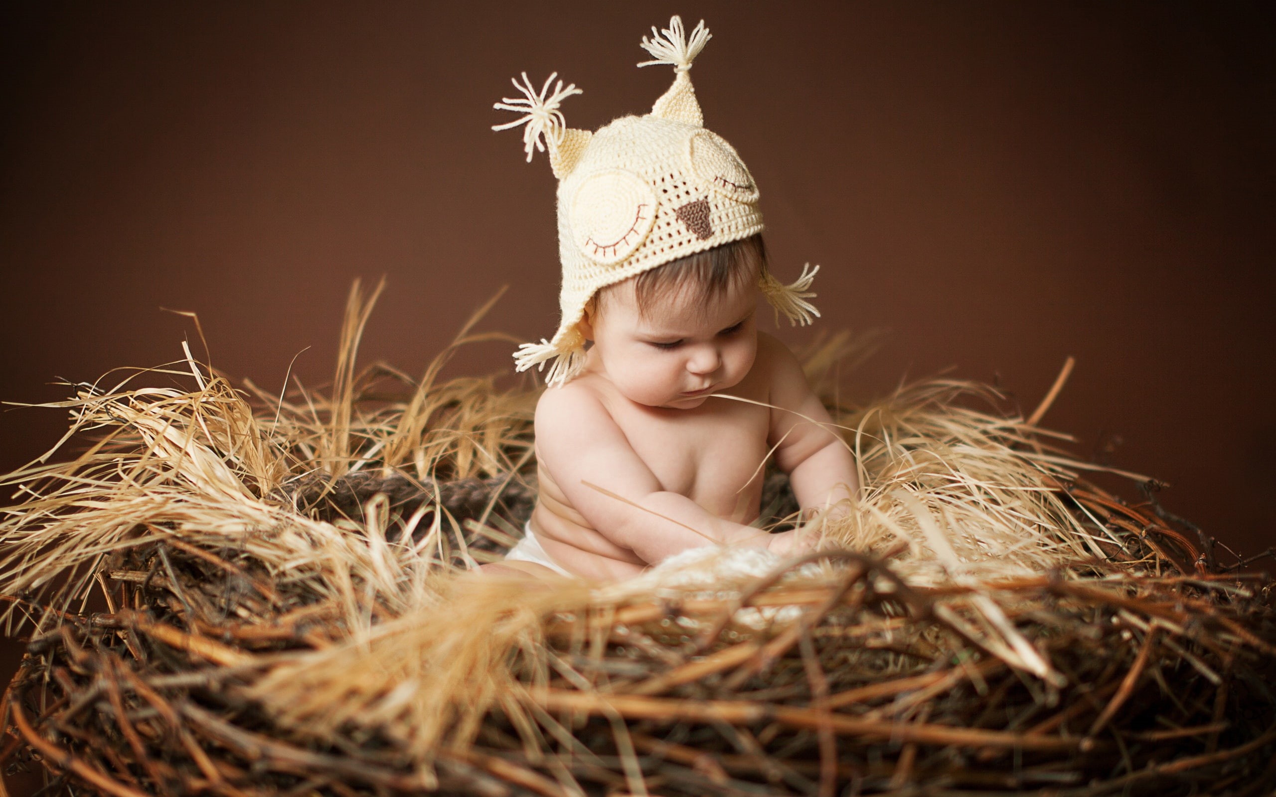 Sitting, Nest, 2K, Baby, Cute, HD Wallpaper