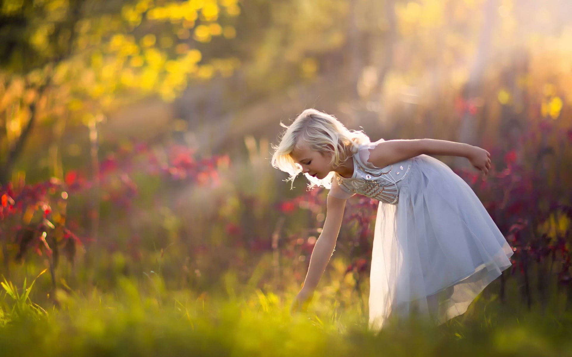 1080P, Nature, Girl, White, Forest, Cute, Dress, Little, HD Wallpaper