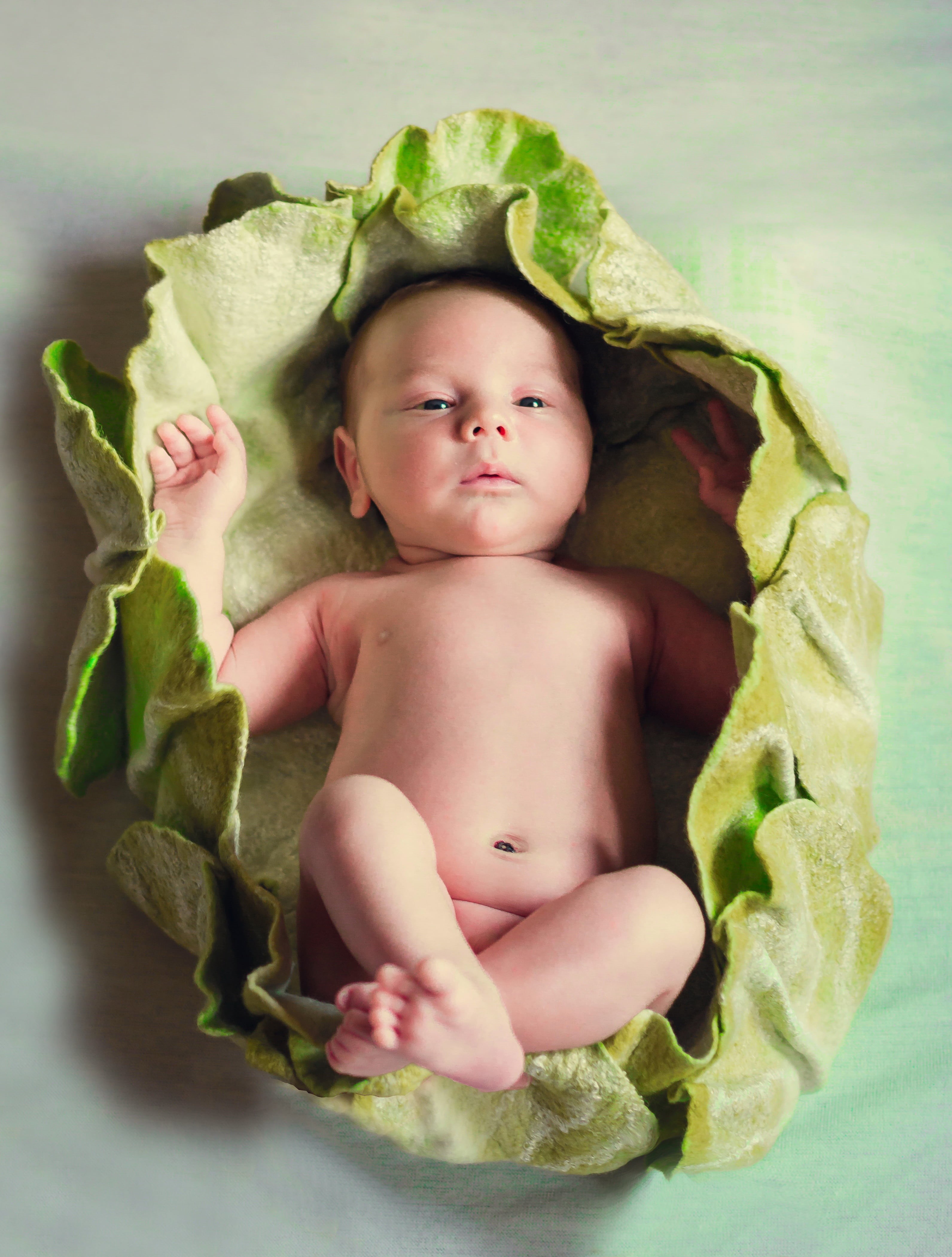 newburn, beautiful, one Person, green, childhood, in the summer of, baby, young, photo, innocence, boy, lying down, full length, child, 4K, babyhood, cabbage, Phone HD Wallpaper