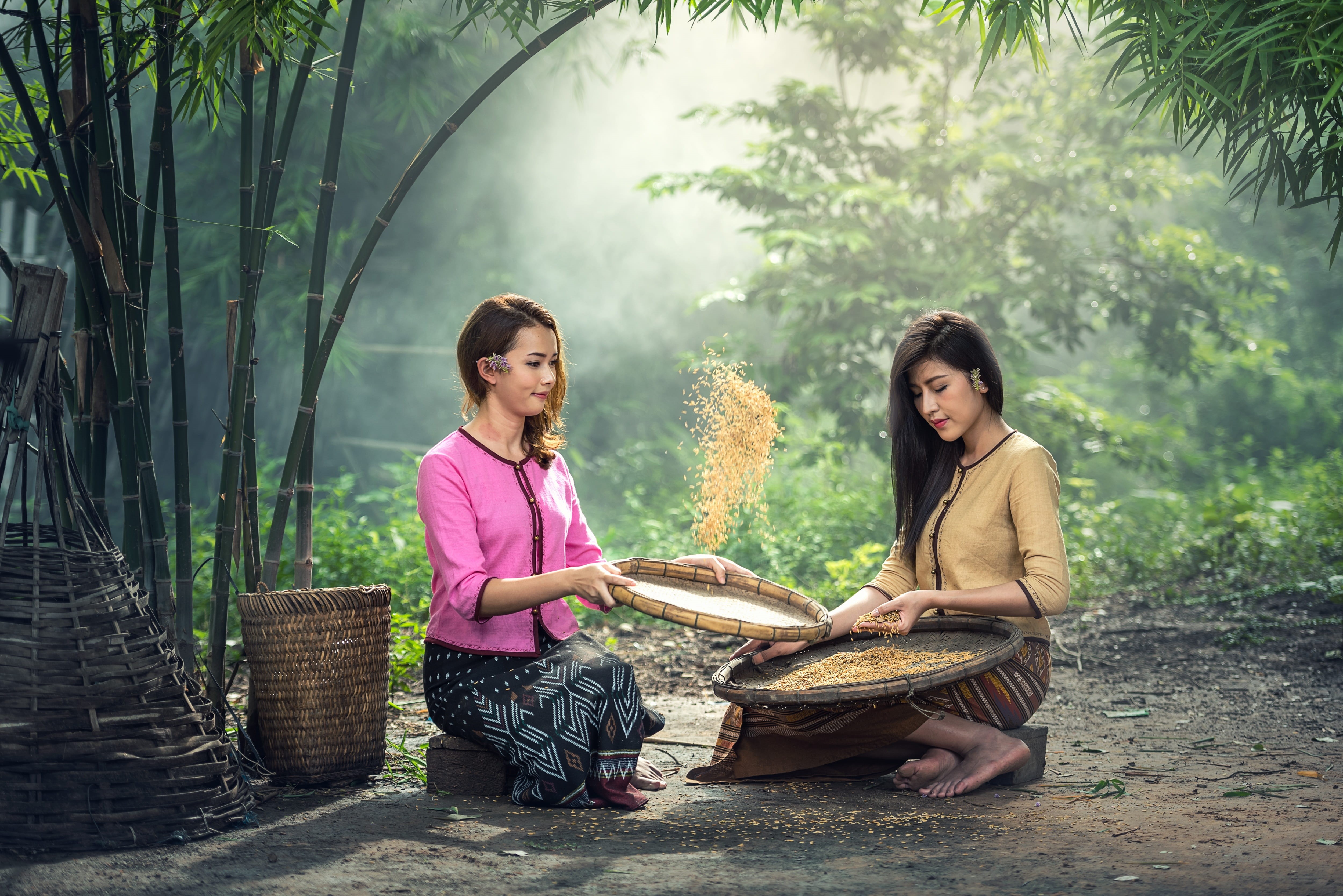 family, plant, togetherness, sweet white mature vintage, tree, women, outdoors, beauty, white water country, lifestyle native natural myanmar, lady, childhood, HD Wallpaper