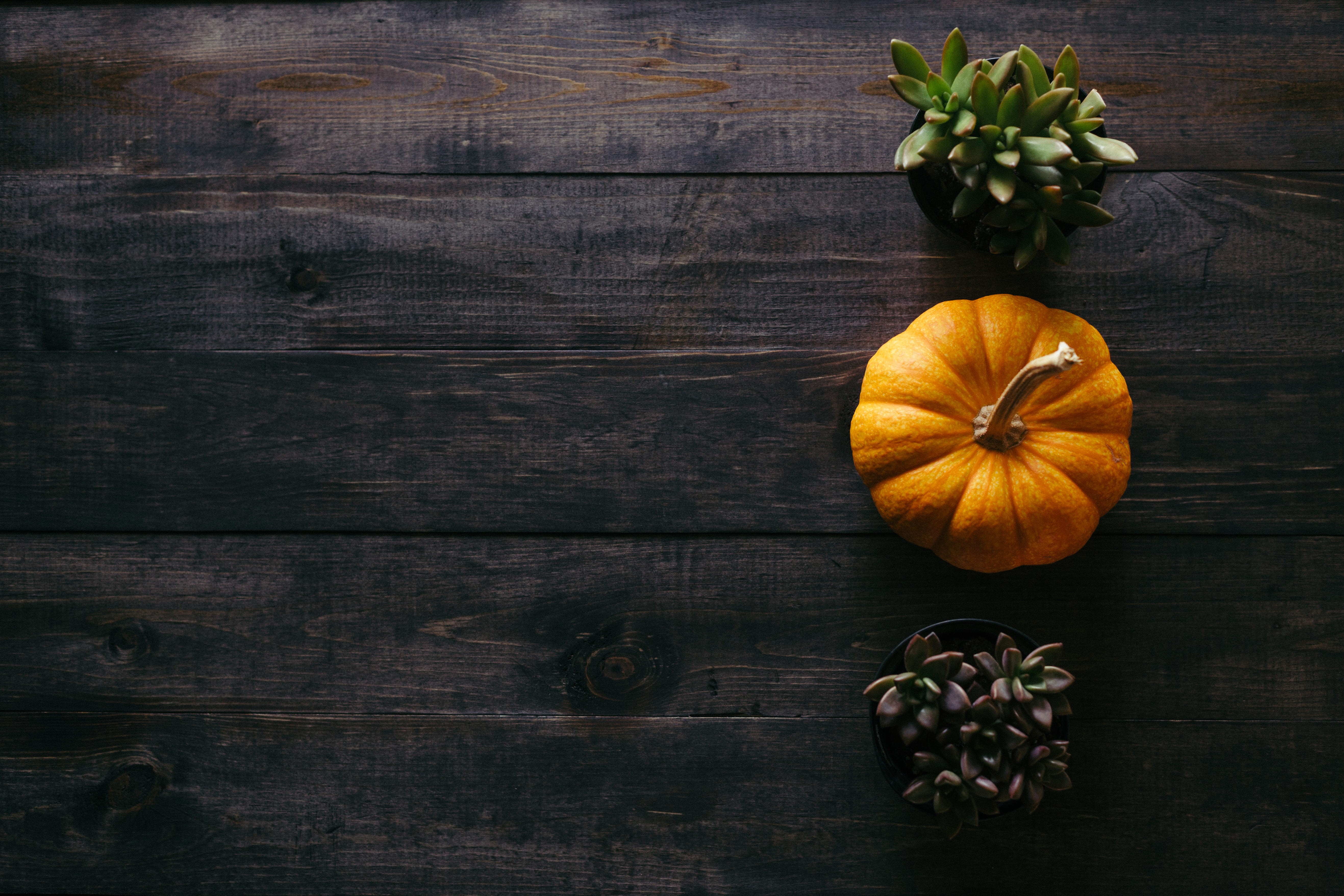 pumpkin, healthy eating, rustic, dark, vegetable, photo, 5K, high angle view, orange, food, dark wood, fall, oraange, beside, nature, still life, copy space, HD Wallpaper
