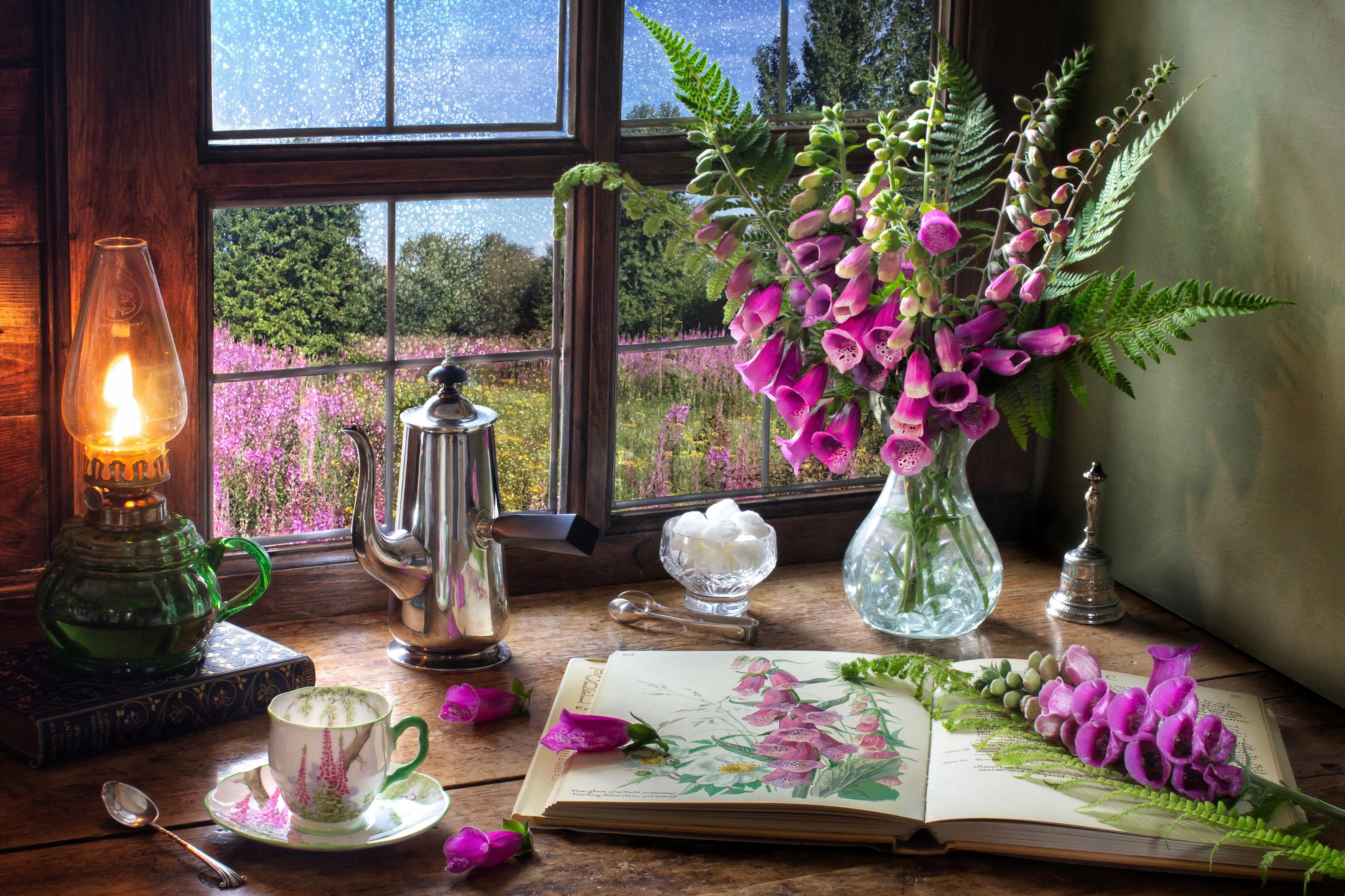 window, nature, plant, flowering plant, fern, no people, candle, freshness, Cup, beauty in nature, electric lamp, Digitalis, table, 2K, purple, book, pink color, HD Wallpaper