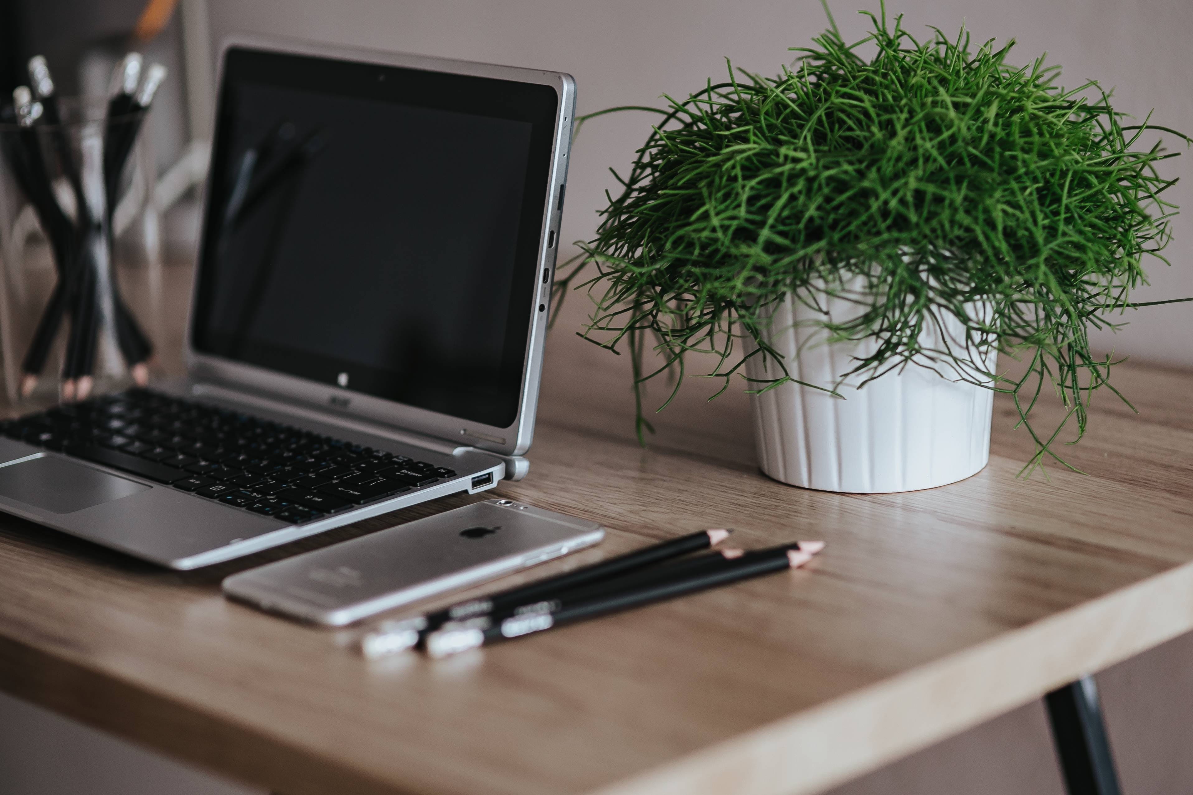 technology, business, computer equipment, computer Keyboard, keyboard, desk, no People, iphone, wooden, indoors, 2K, furniture, connection, green, office, HD Wallpaper