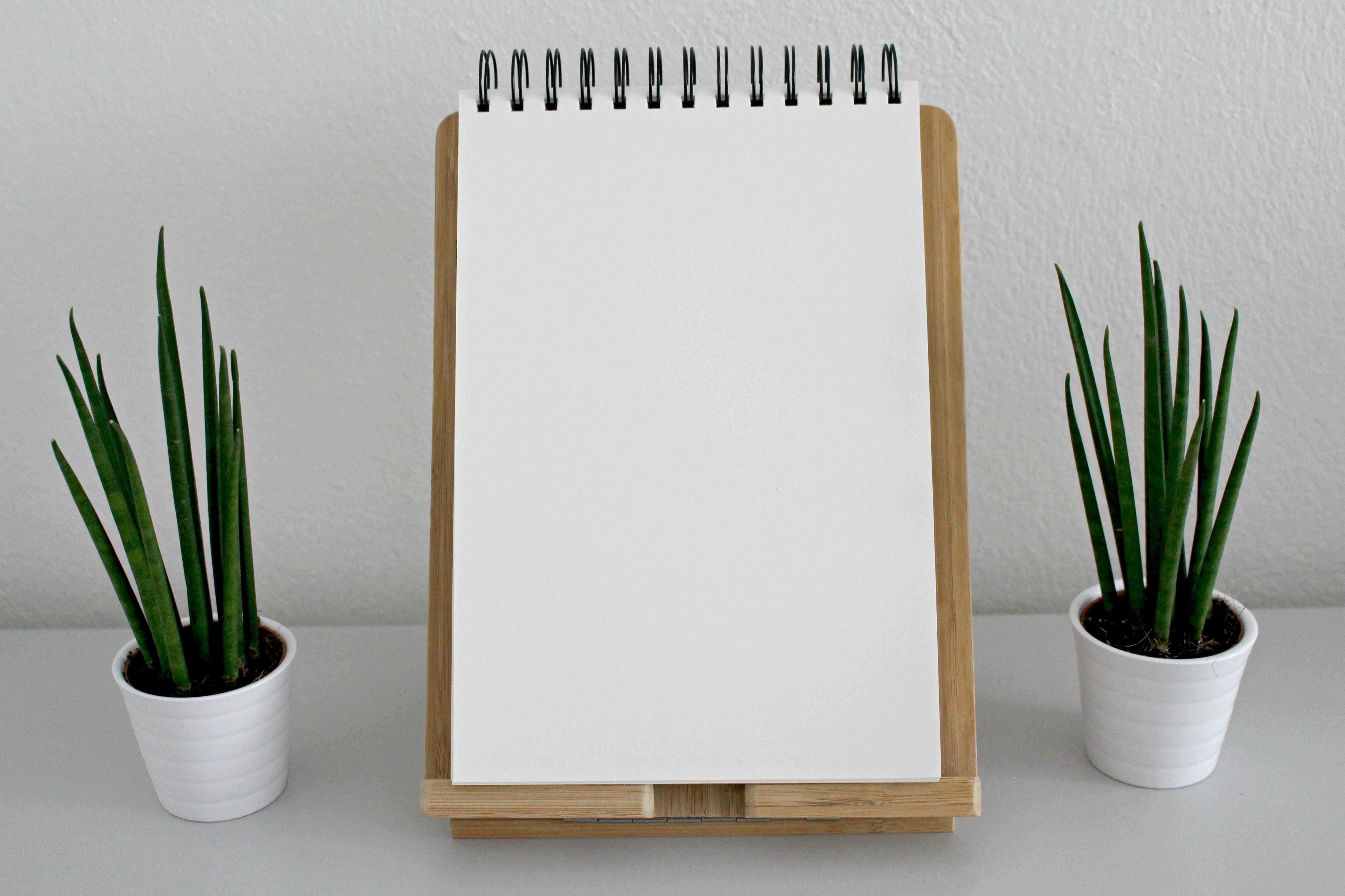 plants, issue, vintage, beside, no people, notes, study, desk organizer, enter, linear, herbal medicine, copy space, decoration, plant, table, note, white color, HD Wallpaper