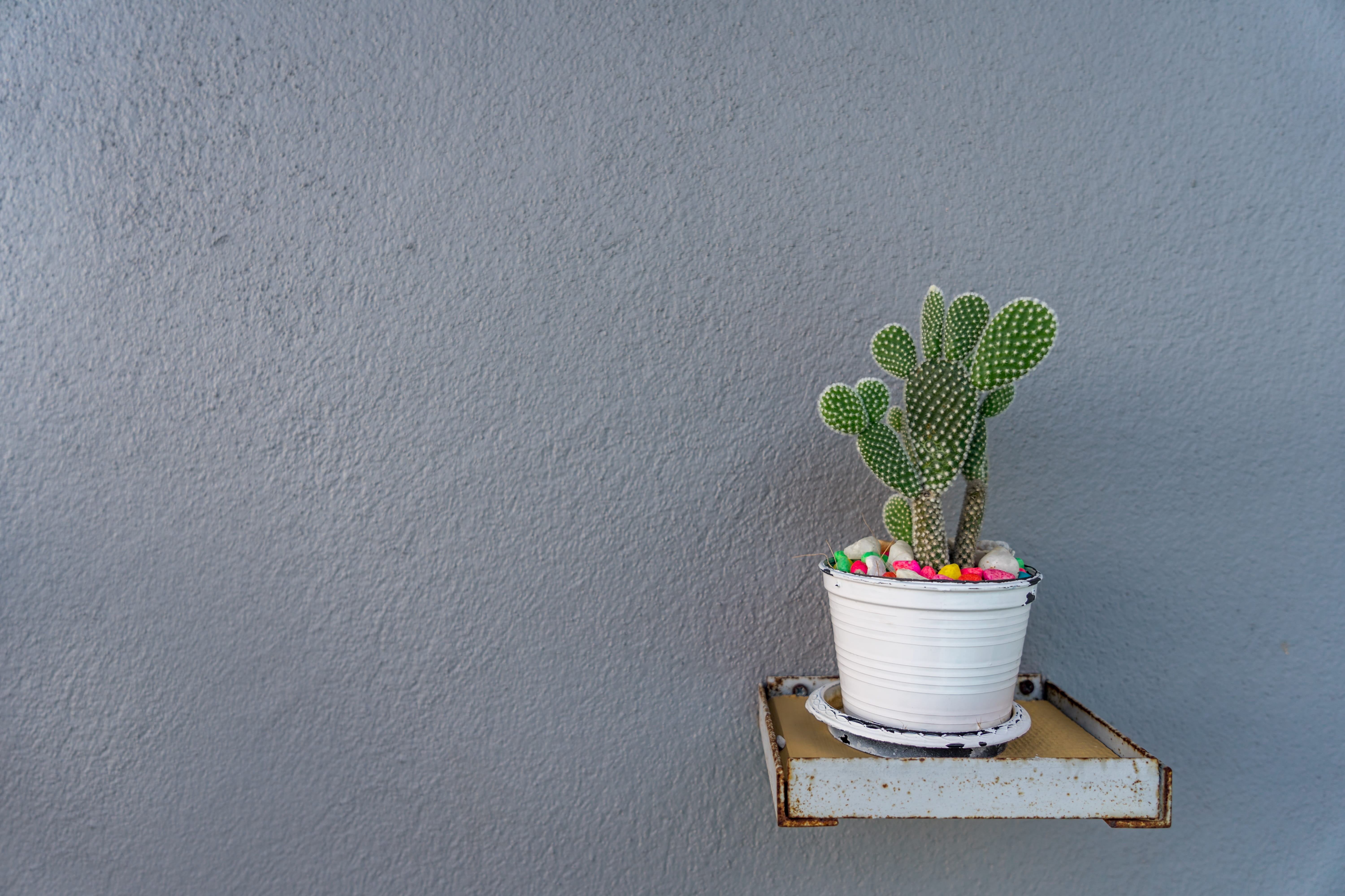 decoration, wall, gray, thailand, built structure, bowl, beauty in nature, potted plant, growth, ornament, no people, ko lanta district, freshness, leaf, HD Wallpaper