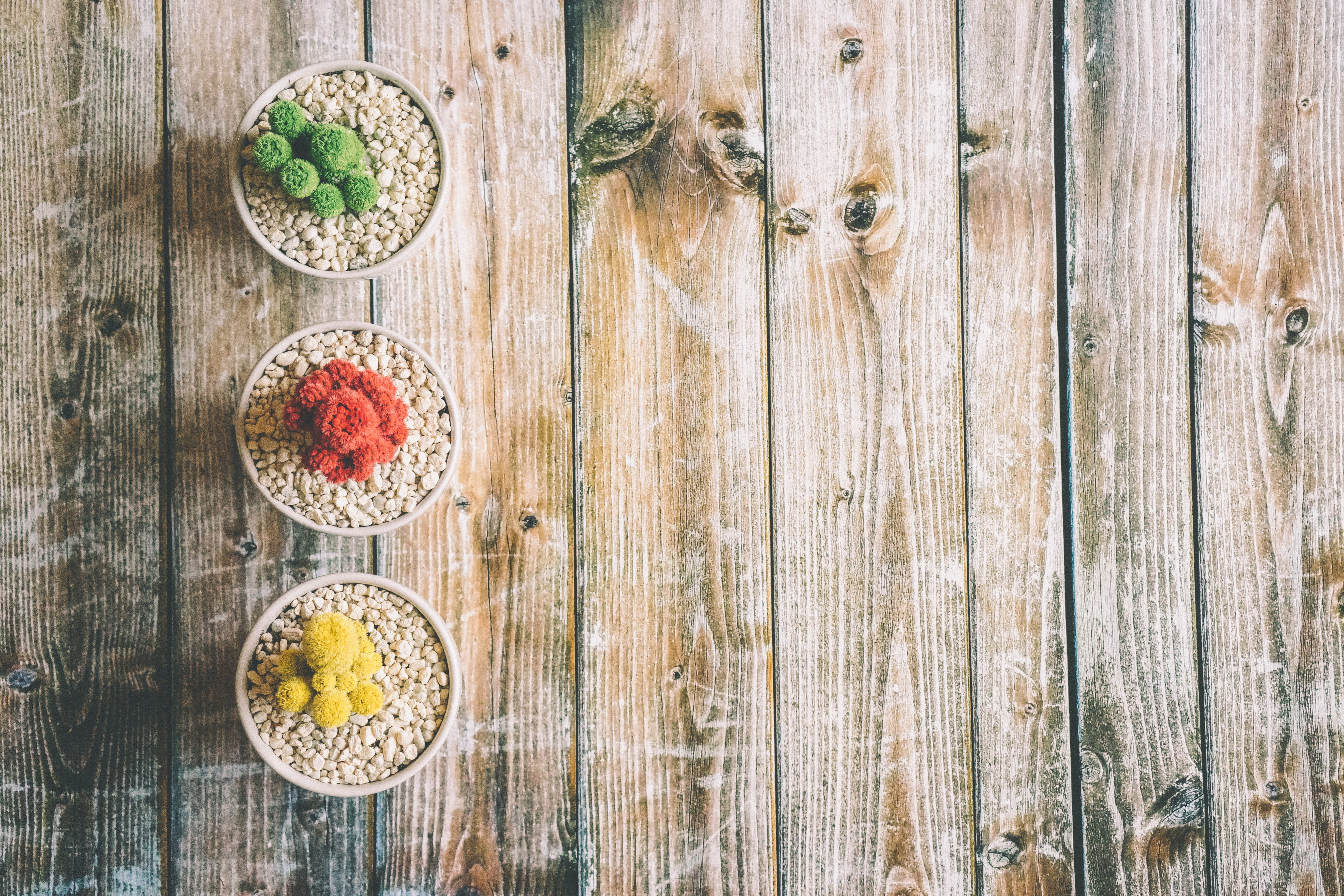 cactu, indoors, cacti, sweet food, 5K, fruit, green, snack, wood - Material, assorted, food and drink, still life, healthy eating, ready-to-eat, color, HD Wallpaper