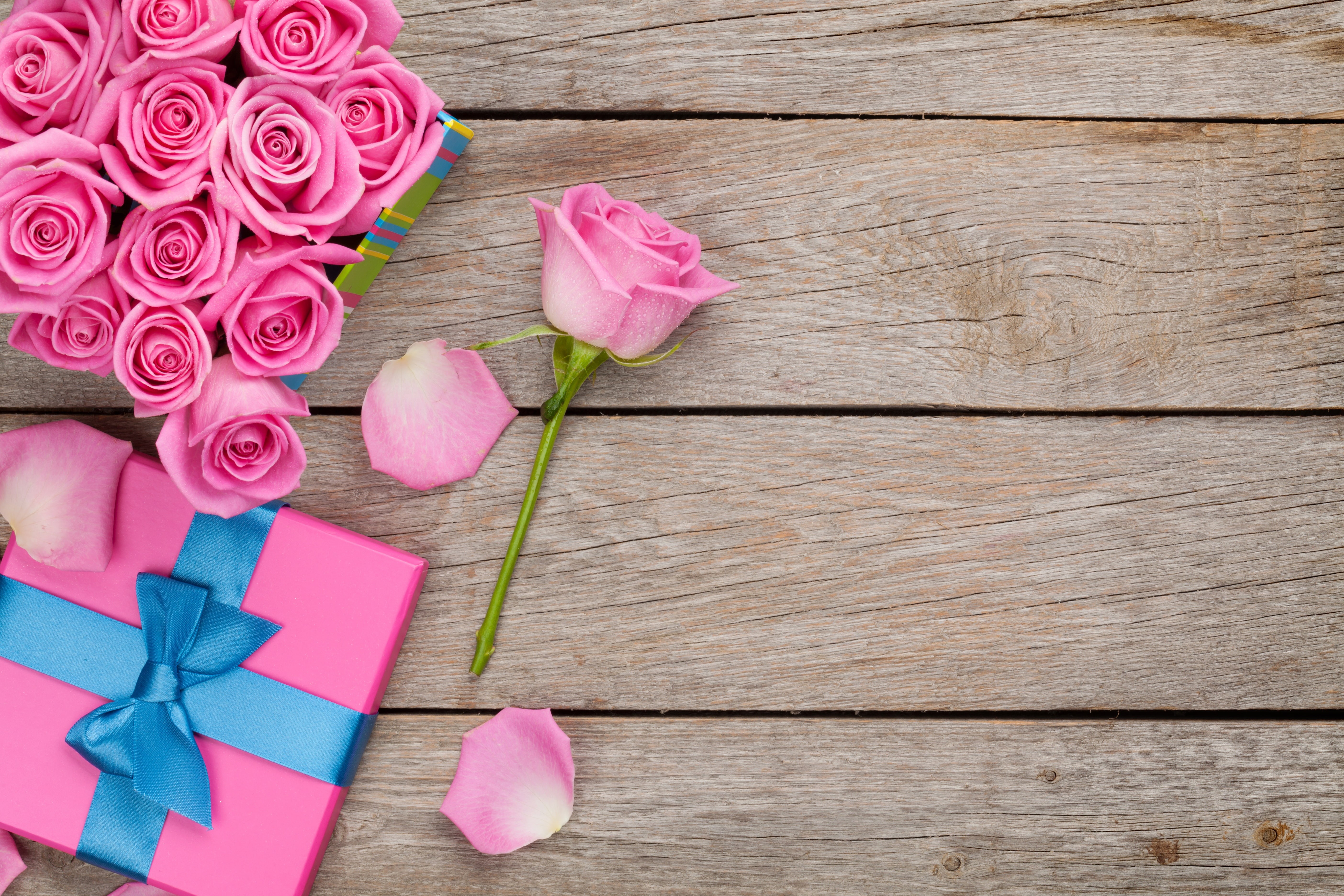 5K, pink, sweet, valentine`s day, love, petals, roses, romantic, gift, HD Wallpaper
