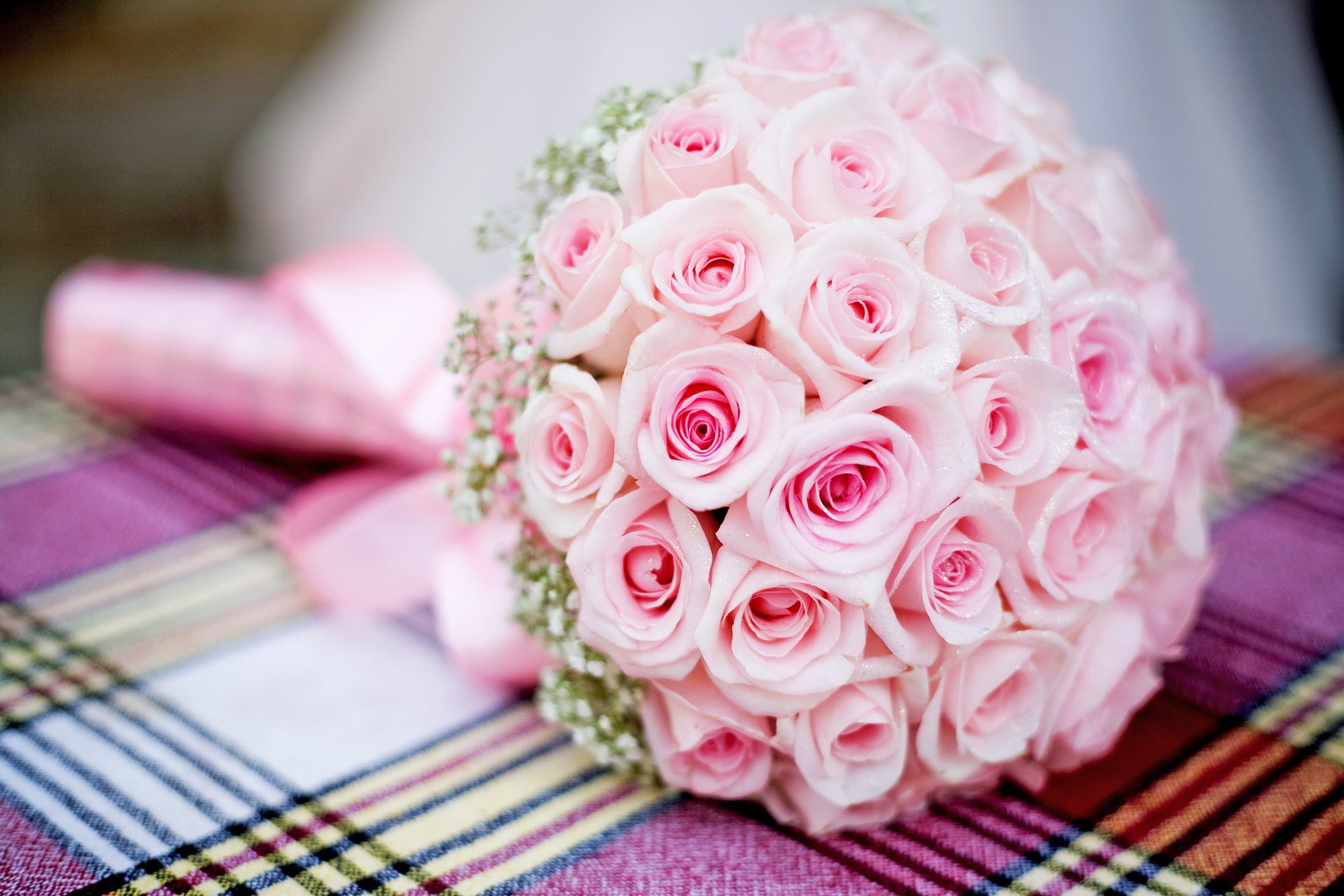 nature, plant, adult, one person, backgrounds, 1080P, fashion, married, love, arrangement, rose, red, gift, elegance, celebration, flowering plant, women, HD Wallpaper