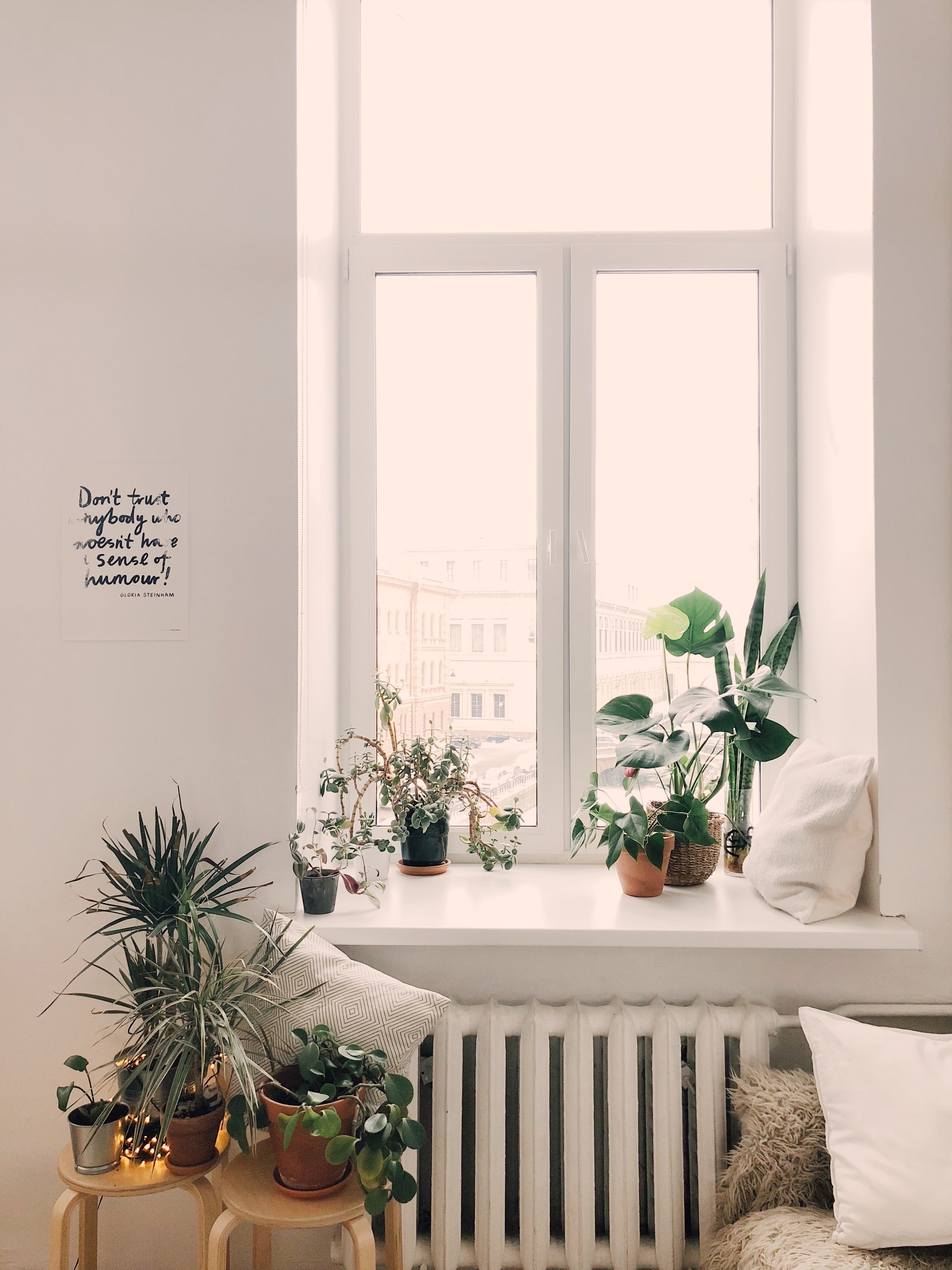 plants, glass items, no people, picture frame, throw pillows, vase, white color, cosy, nature, window, potted plant, potted plants, furniture, green, photo, Phone HD Wallpaper
