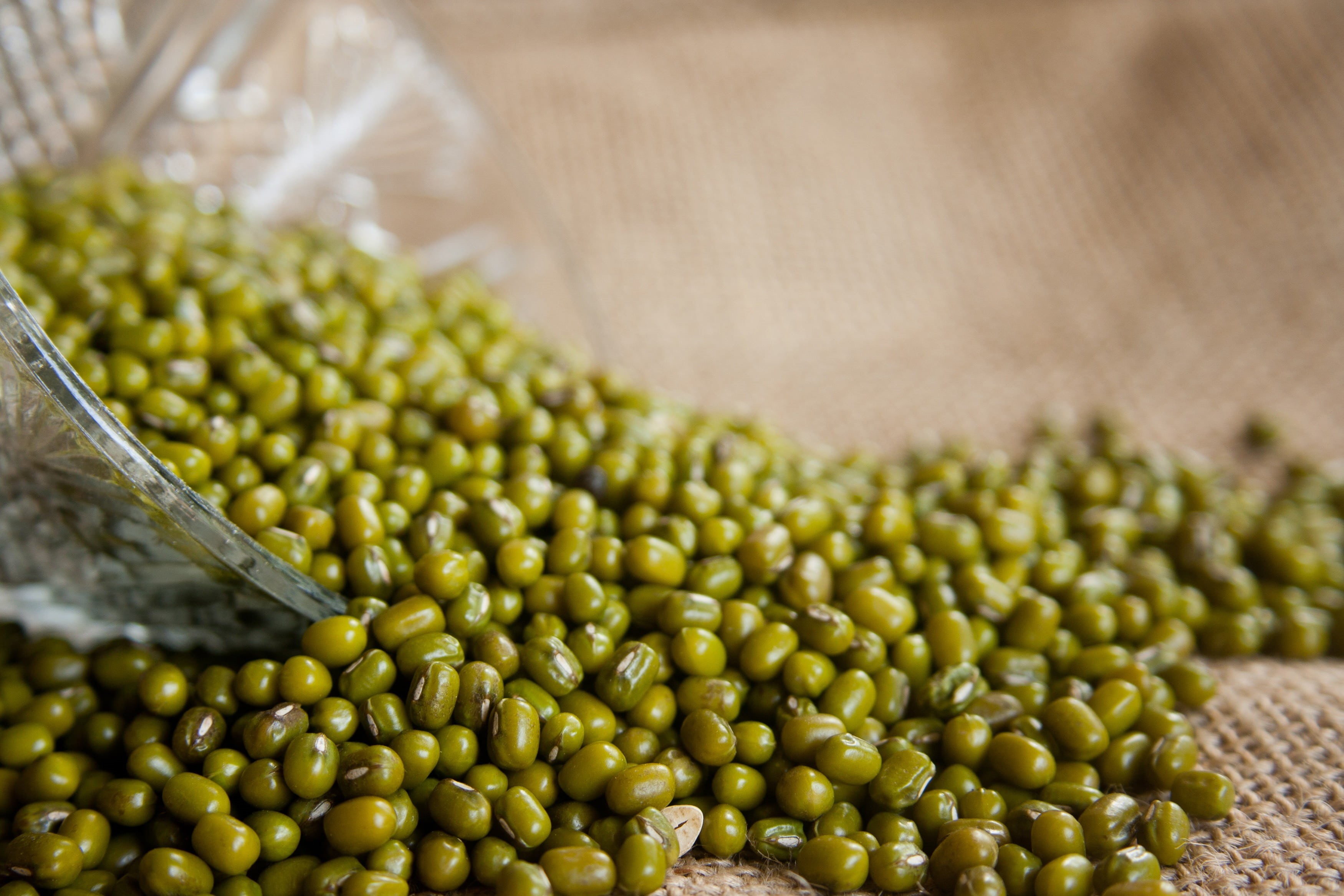 grain, moong bean, wellbeing, textile, mung, ingredient, brown, factory, dry, healthy eating, legume, gram, moong, large group of objects, cuisine, golden gram, HD Wallpaper