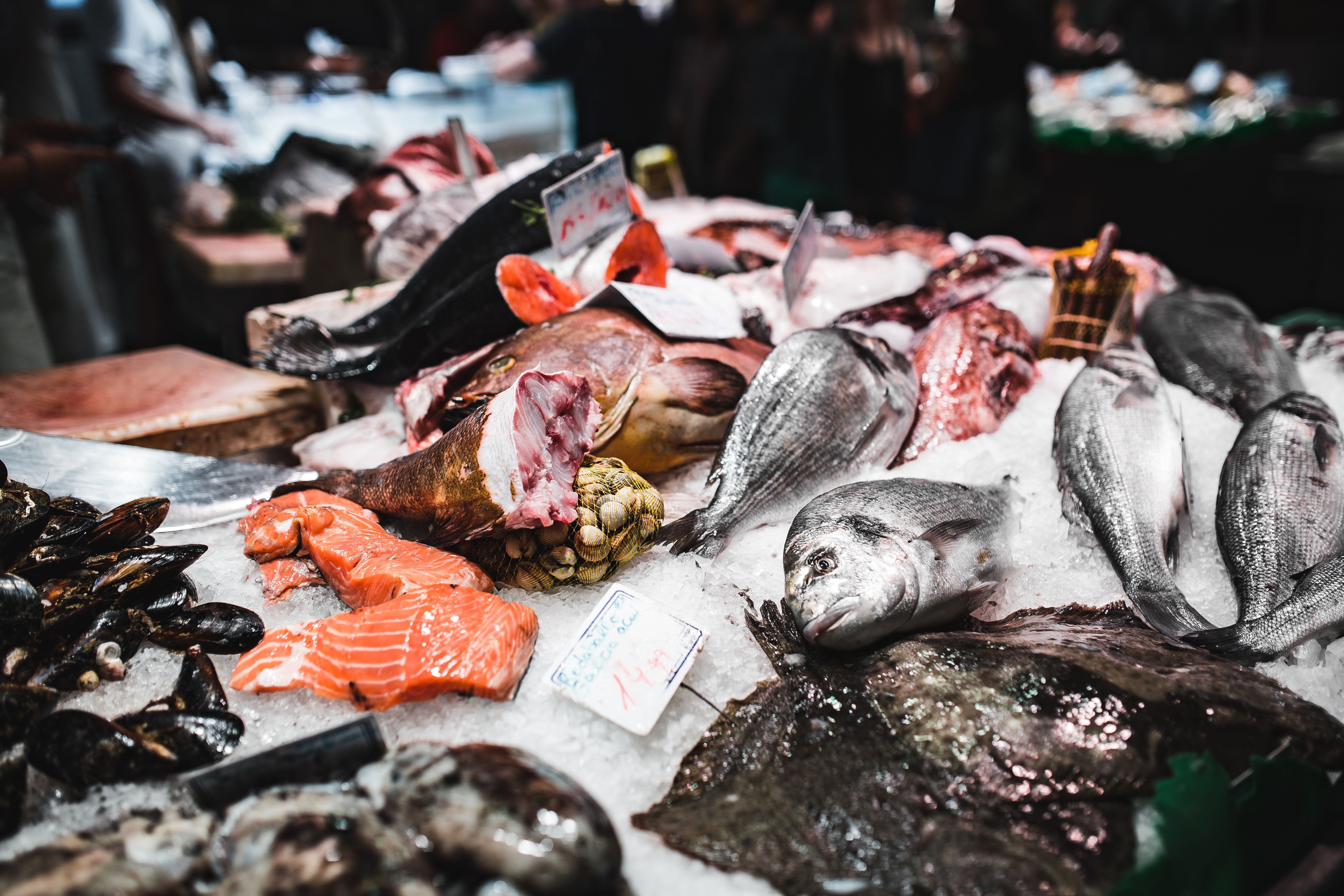 fishing industry, market, prepared Fish, Barcelona Spain, consumerism, frame, fish Market, vitamin, no people, la, vertebrate, raw food, seafood, choice, HD Wallpaper