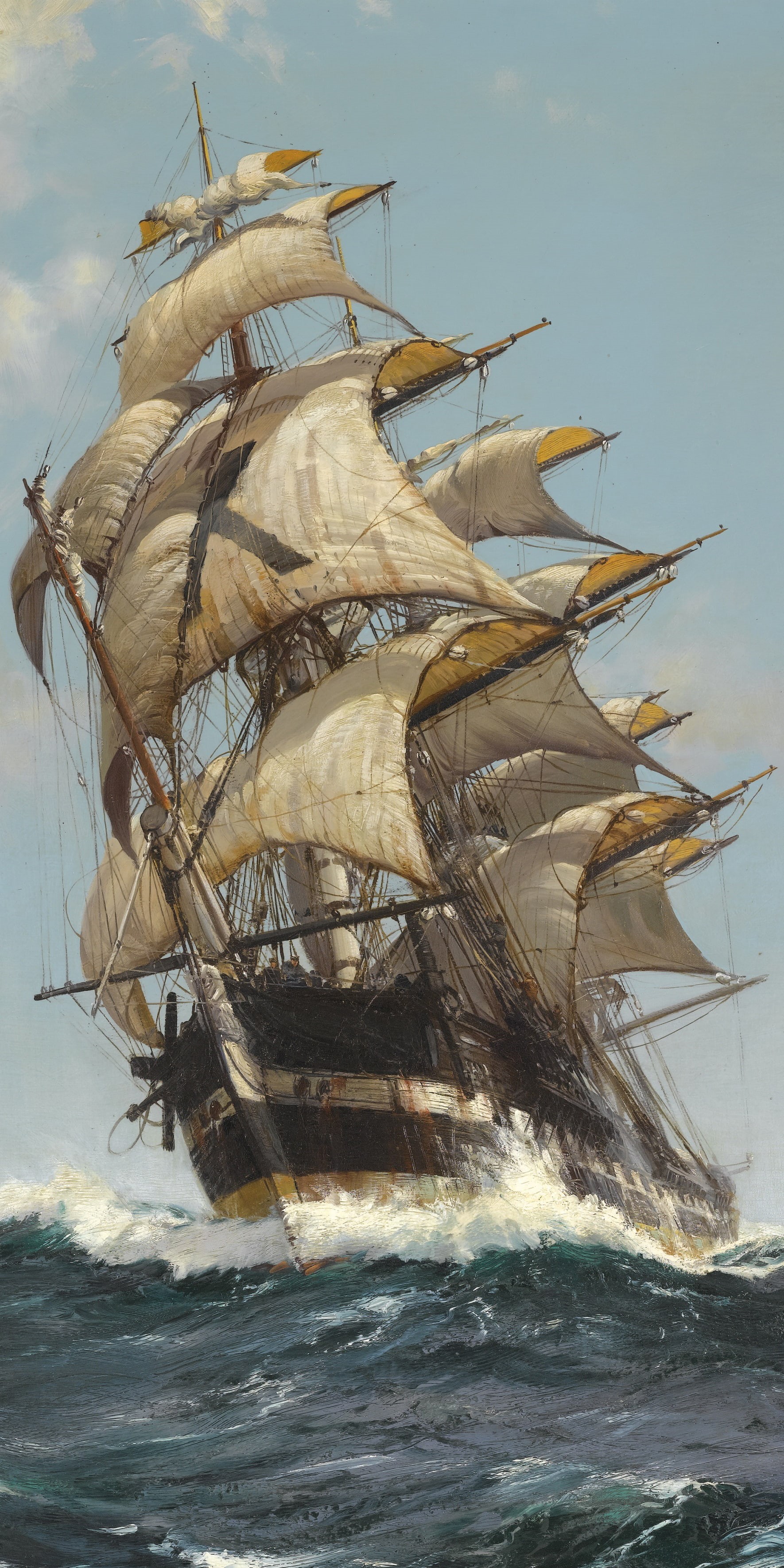 plant, Montague Dawson, natural condition, no people, outdoors, food, animals in the wild, clouds, animal, Sail, ship, wind, nature, sea, animal themes, Phone HD Wallpaper