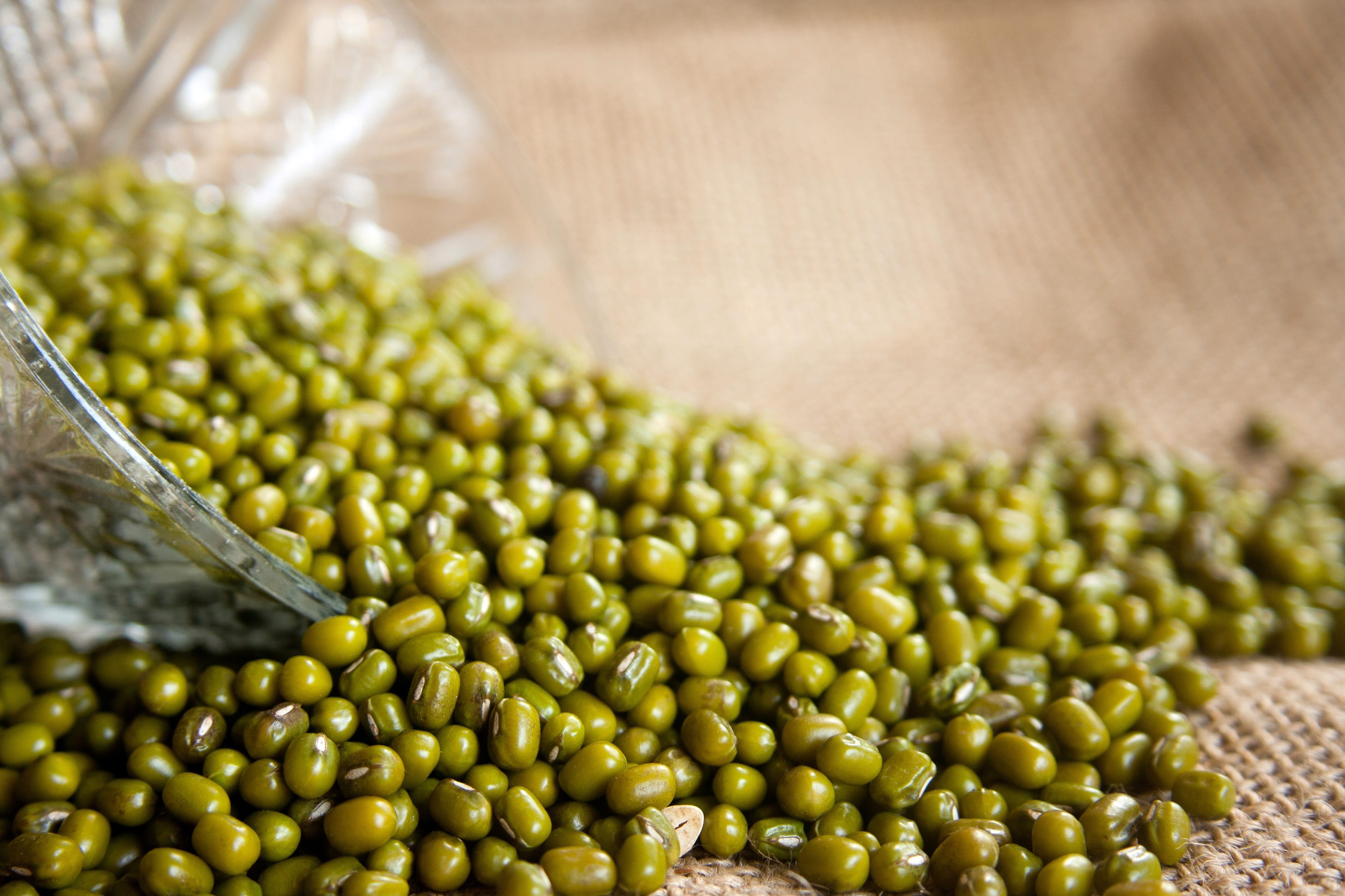 factory, freshness, green color, crop, vegetarian food, food processing plant, industry, peas, large group of objects, legume, seed, public domain, plant, HD Wallpaper