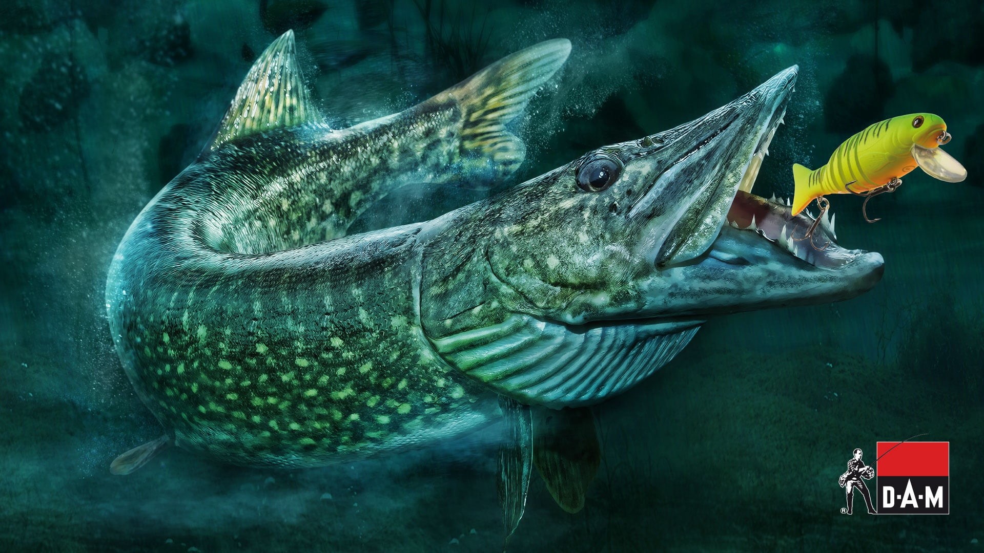 fishing, fish, mouth open, gray, water, marine, close-up, 1080P, animal themes, tank, nature, outdoors, sea, animal, pike, swimming, animal wildlife, undersea, HD Wallpaper