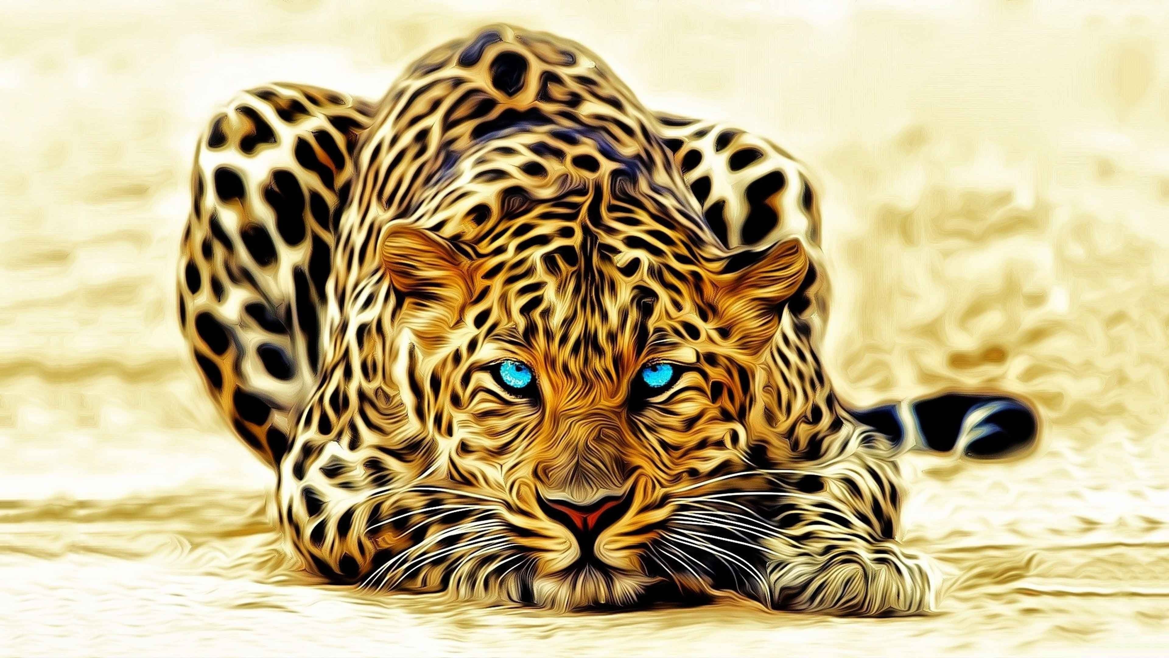 one animal, animal markings, animal body part, animal, looking at camera, no people, animals in the wild, animal head, animal wildlife, day, whisker, leopard 4k high resolution  for desktop  download, HD Wallpaper