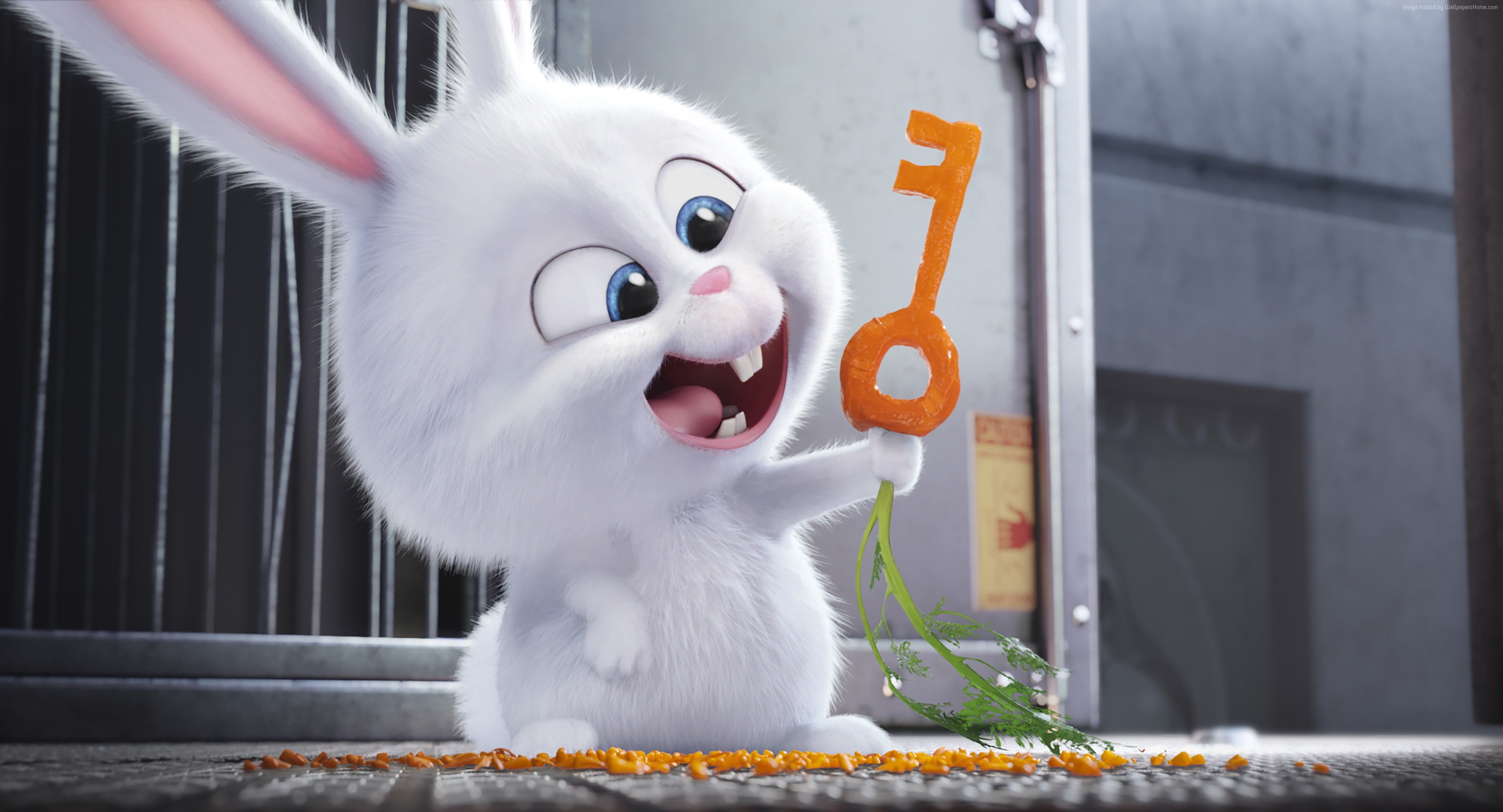 2K, Best Animation Movies of 2016, rabbit, cartoon, The Secret Life of Pets, HD Wallpaper