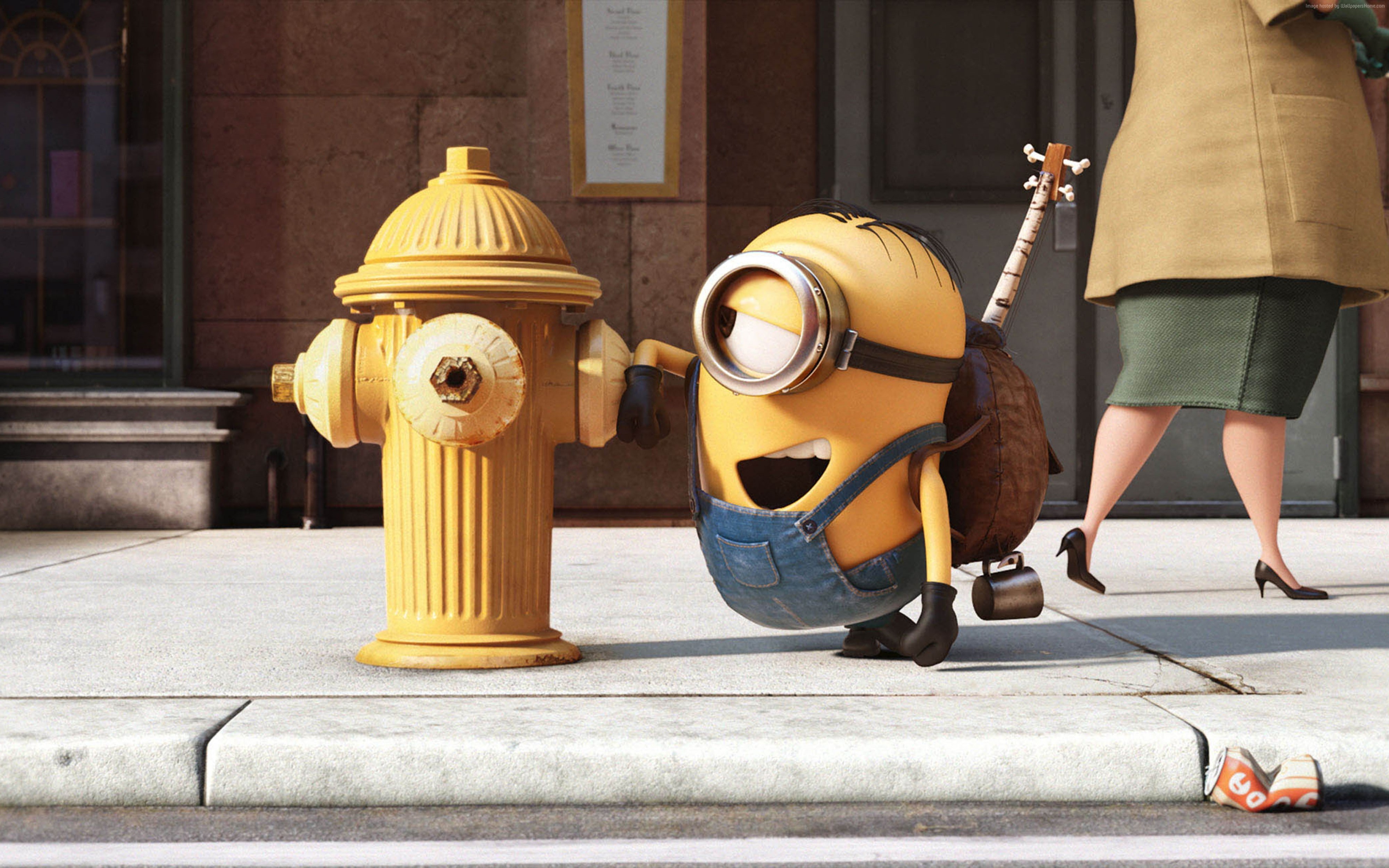 funny, 4K, cartoon, yellow, Minions, Best Animation Movies of 2015, HD Wallpaper