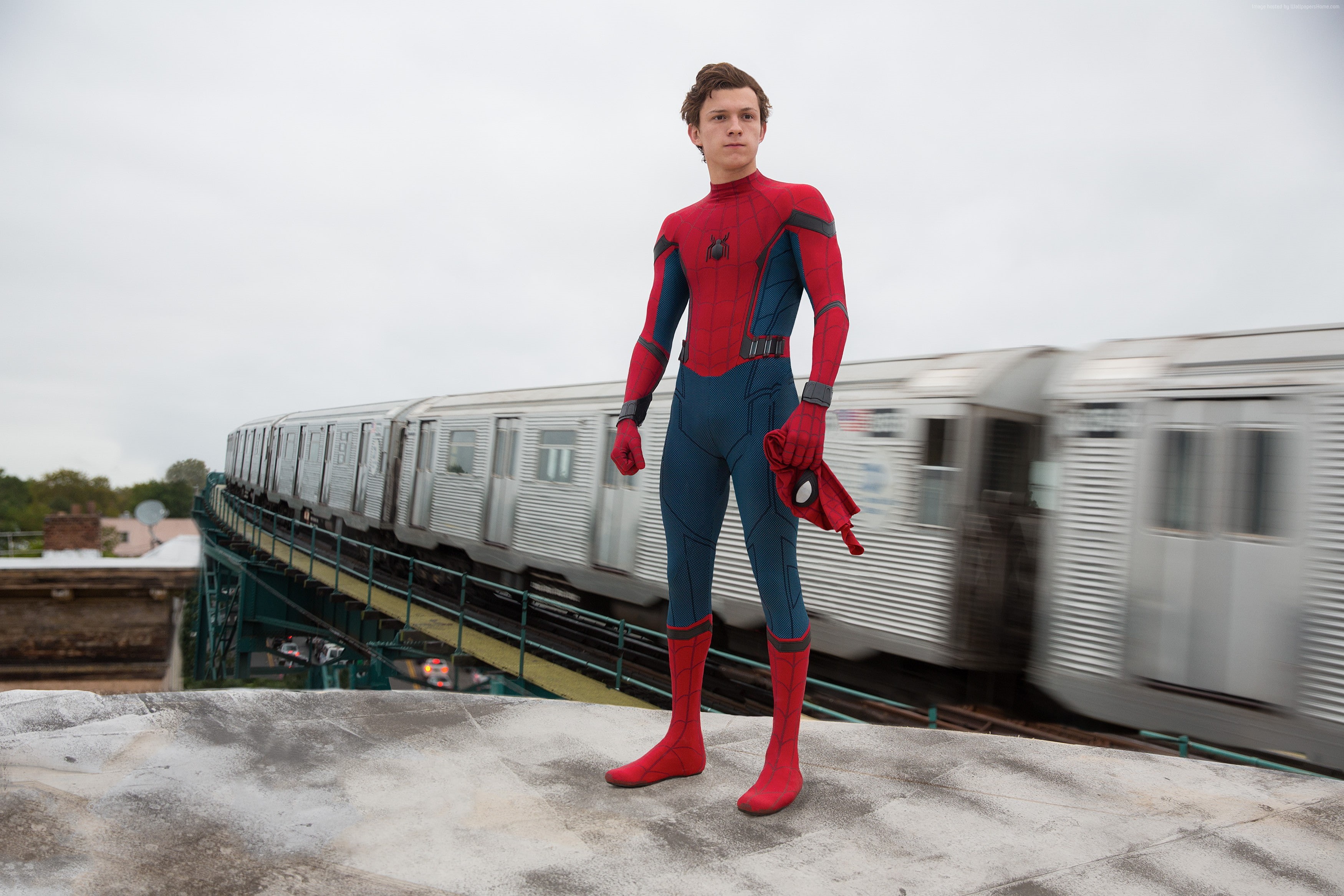 Spider-Man: Homecoming, Tom Holland, 2K, best movies, Marvel, HD Wallpaper