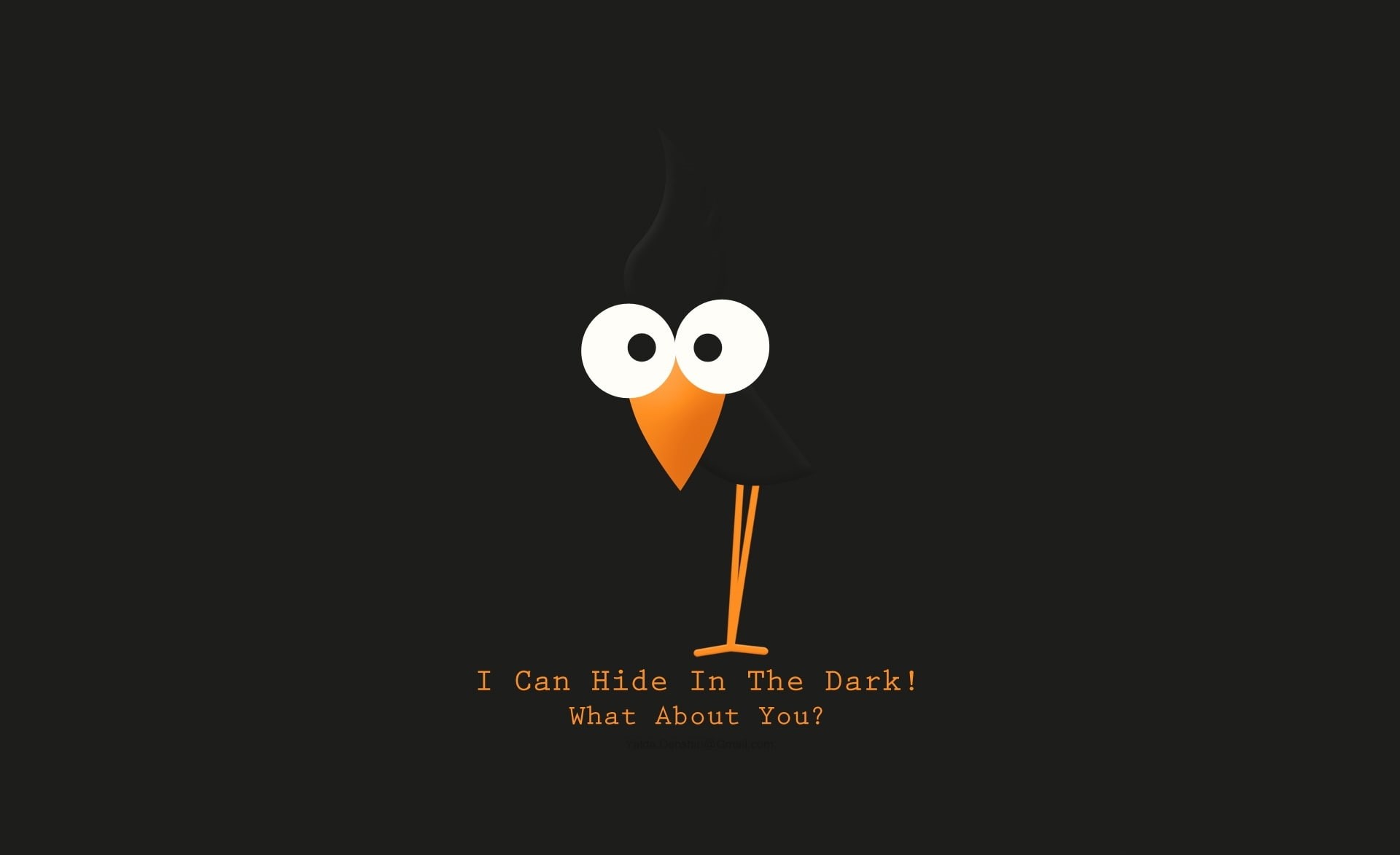 Funny, communication, music, Bird, technology, art and craft, digital, western script, equipment, humor, copy space, black background, shape, HD Wallpaper