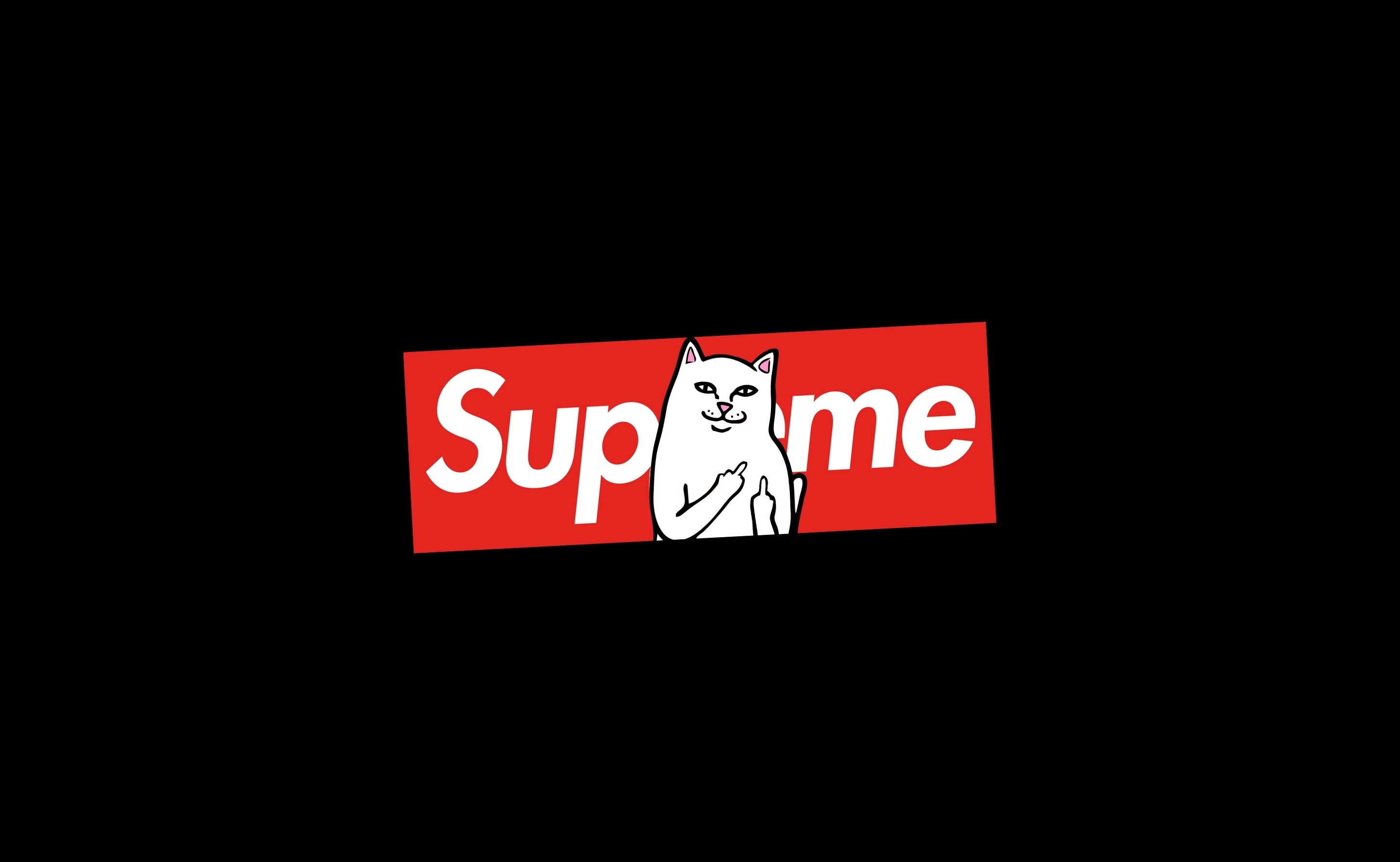 studio shot, text, night, information, communication, sign, dark, western script, warning sign, supreme, logo, low angle view, guidance, illuminated, capital letter, HD Wallpaper