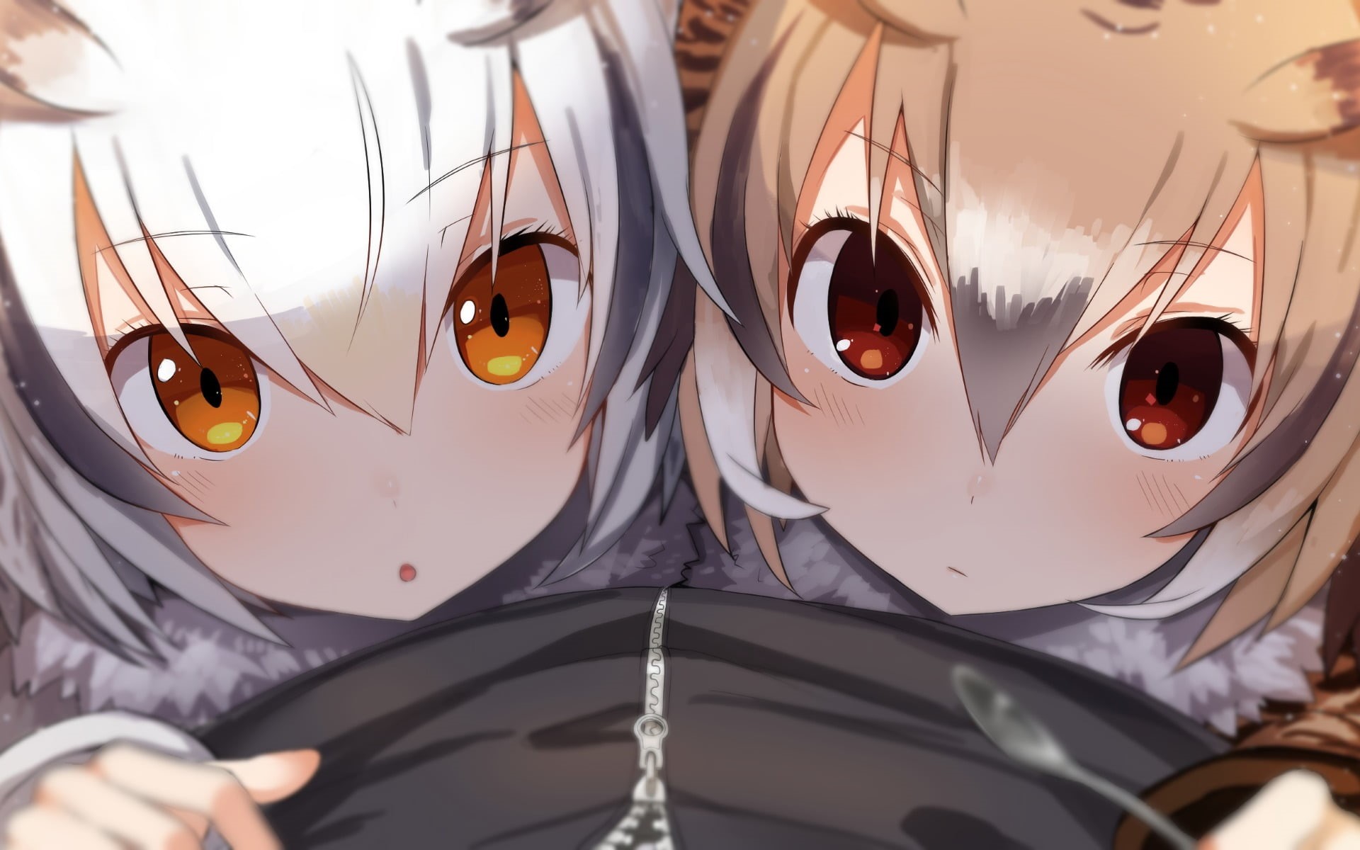orange eyes, animal ears, two, point of view, haired, Northern White-Faced Owl (Kemono Friends), indoors, still life, nature, metal, glasses, in a row, HD Wallpaper
