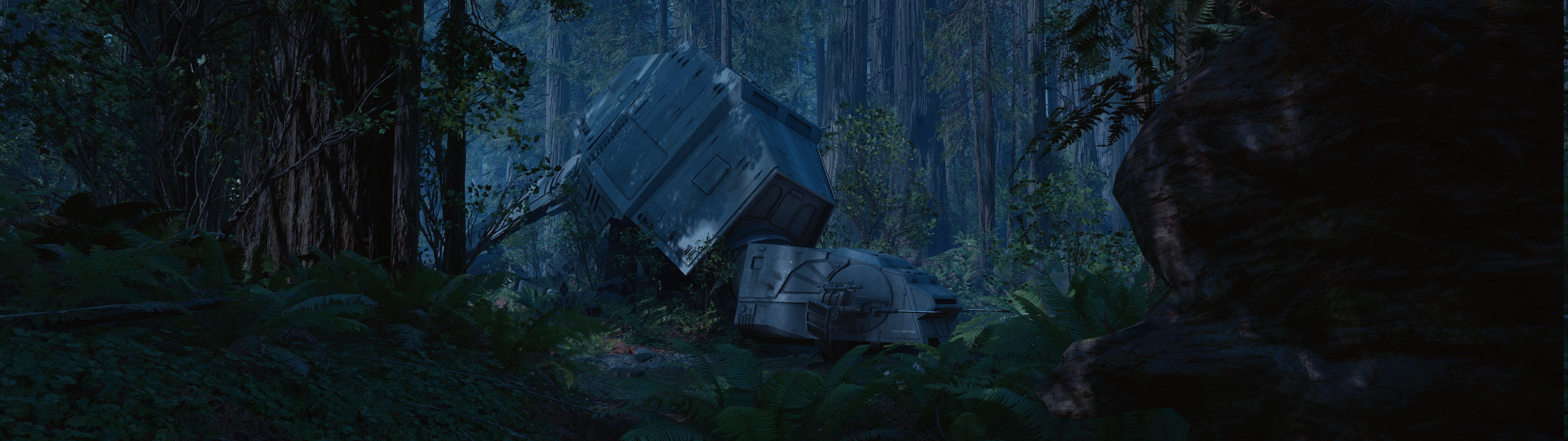 tree trunk, forest, land, panoramic, tree, tranquility, plant, no people, Dual Monitors, trunk, built structure, 4K, growth, Star Wars, nature, building, HD Wallpaper