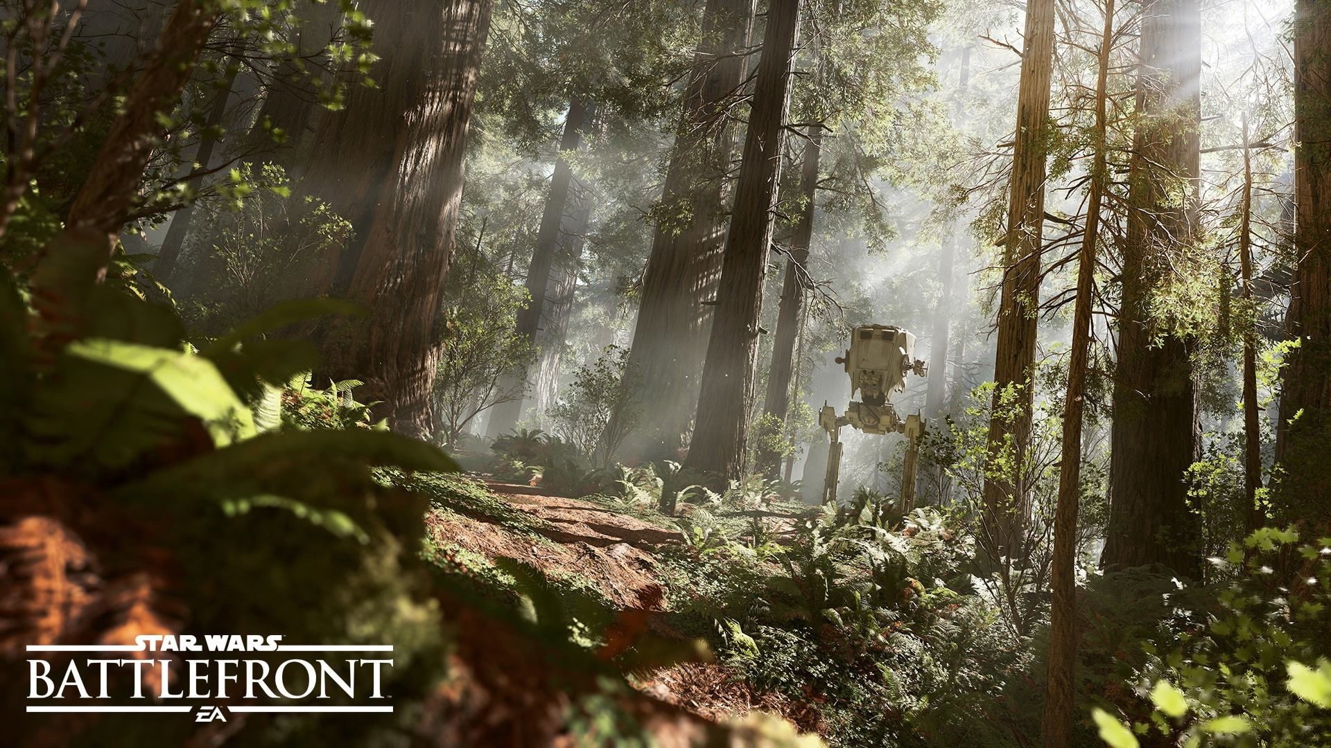 plant, tree trunk, forest, Battle of Endor, sunlight, leaf, Star Wars, tranquil scene, land, Galactic Empire, 1080P, growth, tranquility, beauty in nature, HD Wallpaper