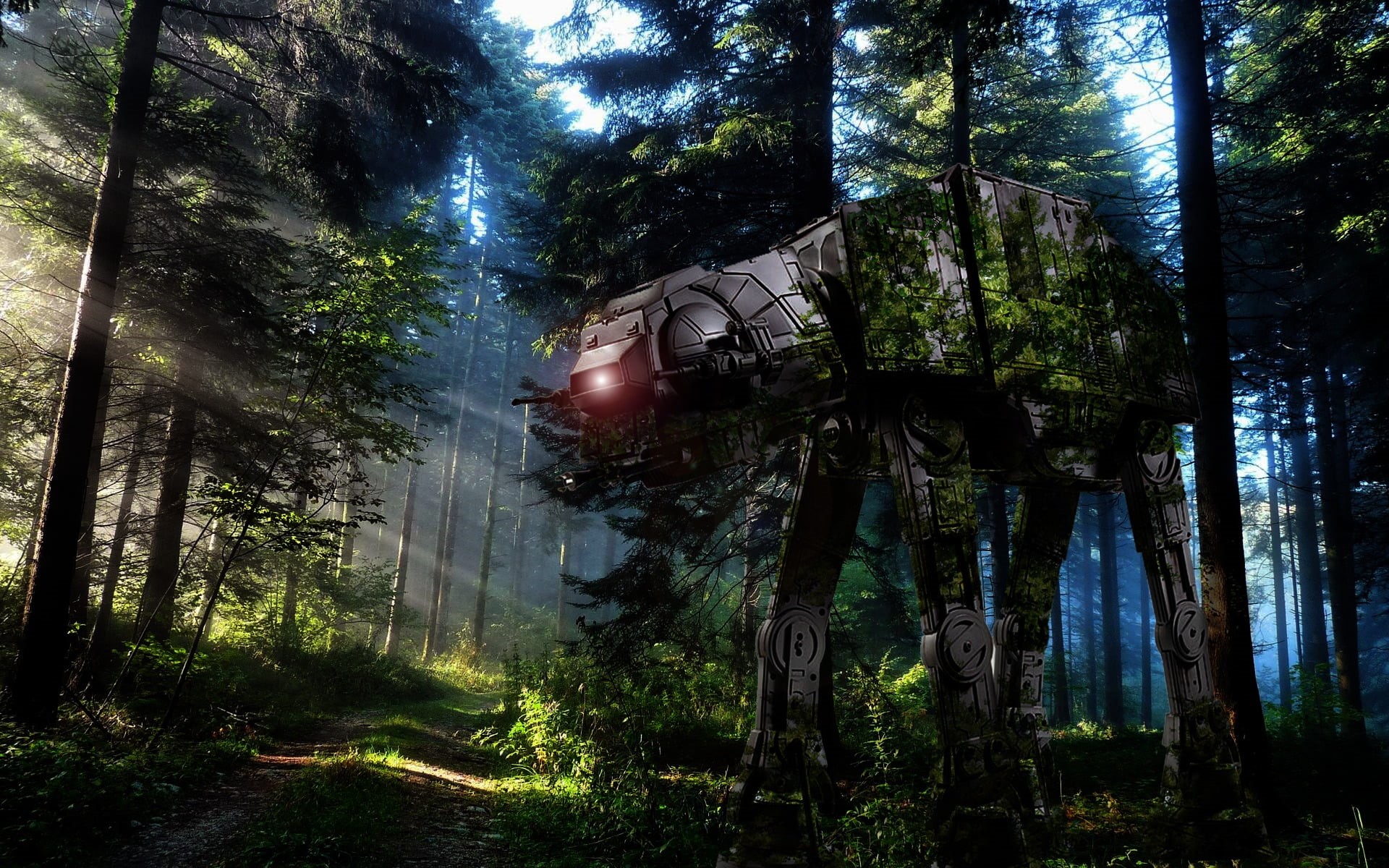 trunk, outdoors, tranquil scene, Star Wars, land, woodland, day, tree, Galactic Empire, 1080P, plant, Endor, low angle view, star, architecture, non-urban scene, HD Wallpaper