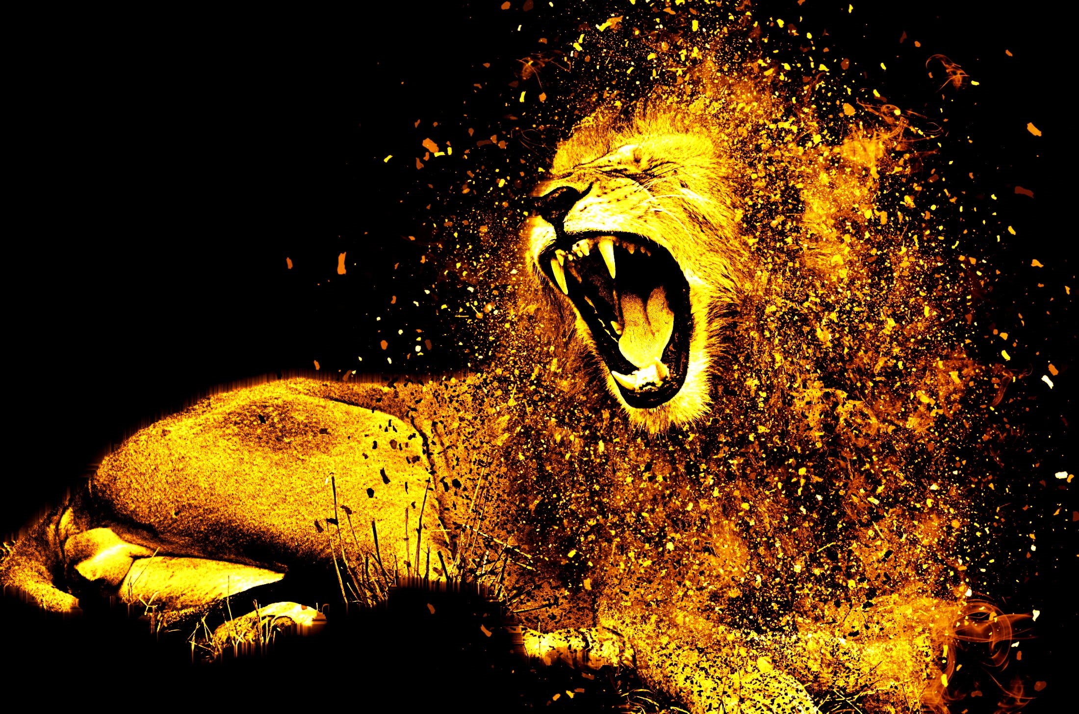 predator, night, one person, creativity, roar, fur, males, wildcat, art and craft, graphic, human representation, representation, big cat, human body part, HD Wallpaper