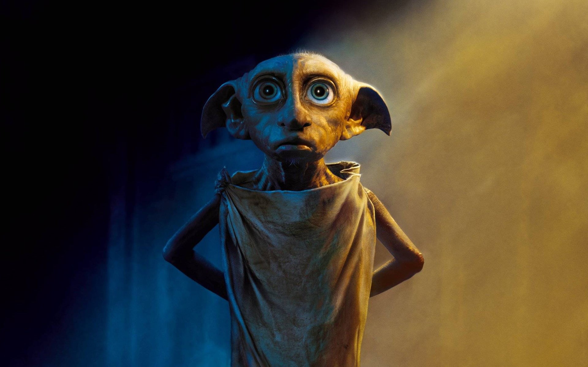 low angle view, Witch, night, halloween, sculpture, Toby Jones, harry, Warner Bros. Pictures, craft, Mystery, death, Family, animal, no people, HD Wallpaper