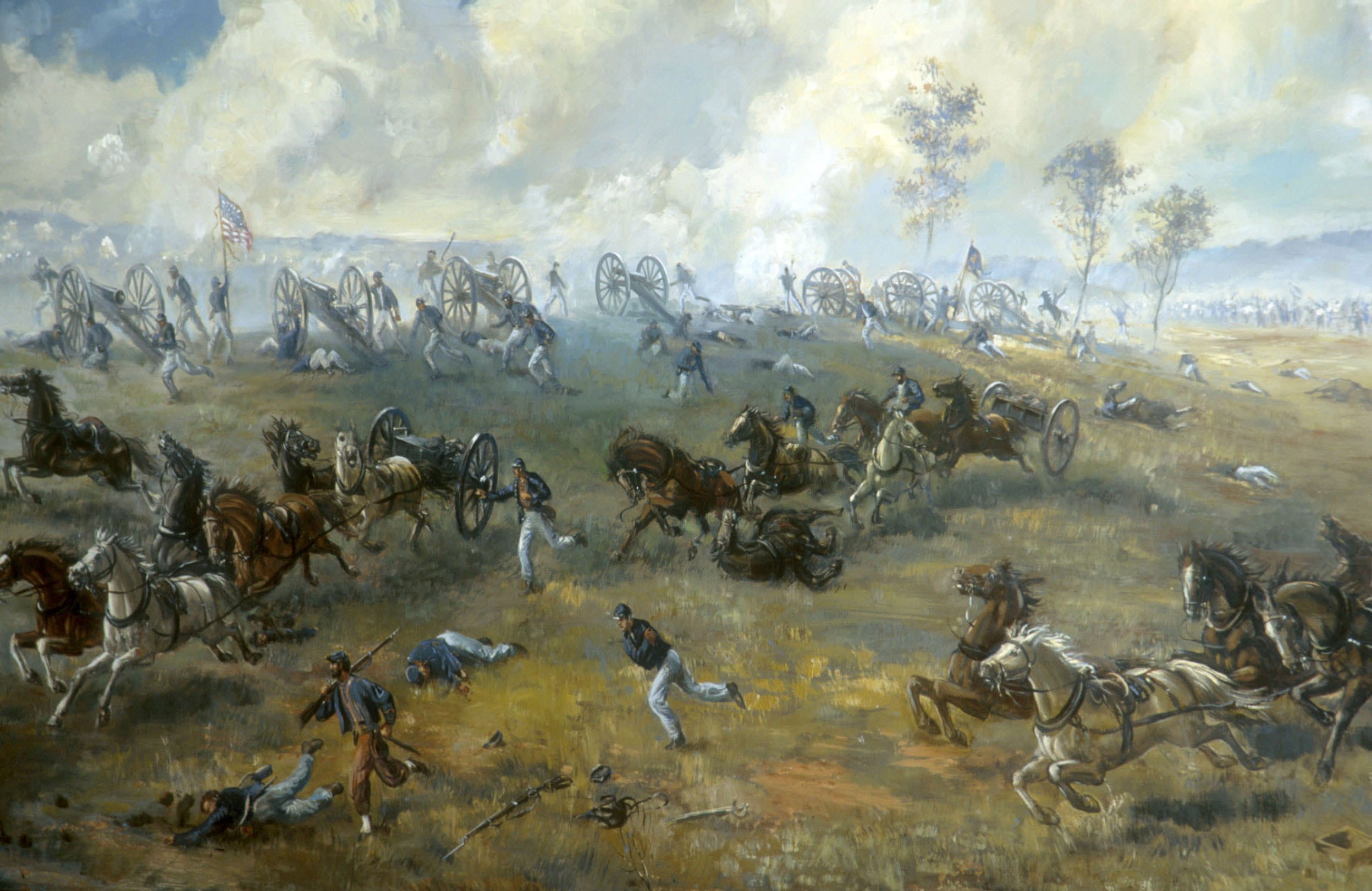 american, flock Of Birds, animal wildlife, herd, Rickett, outdoors, large Group Of Animals, 1st battle of bull run, ricketts battery, public domain, battle of bull run, HD Wallpaper