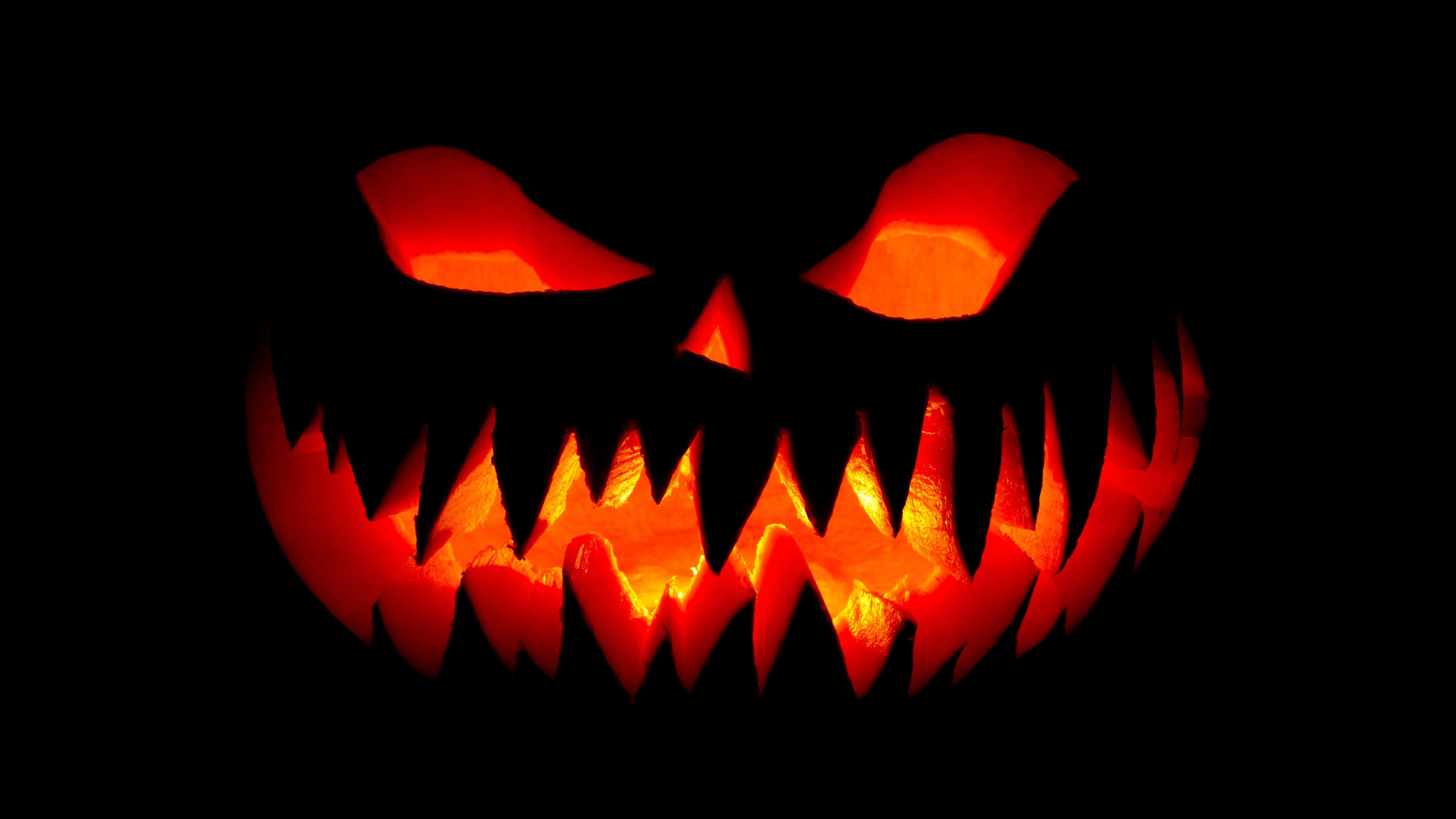 4K, jack o lantern, darkness, halloween night, pumpkin, halloween, spooky, HD Wallpaper