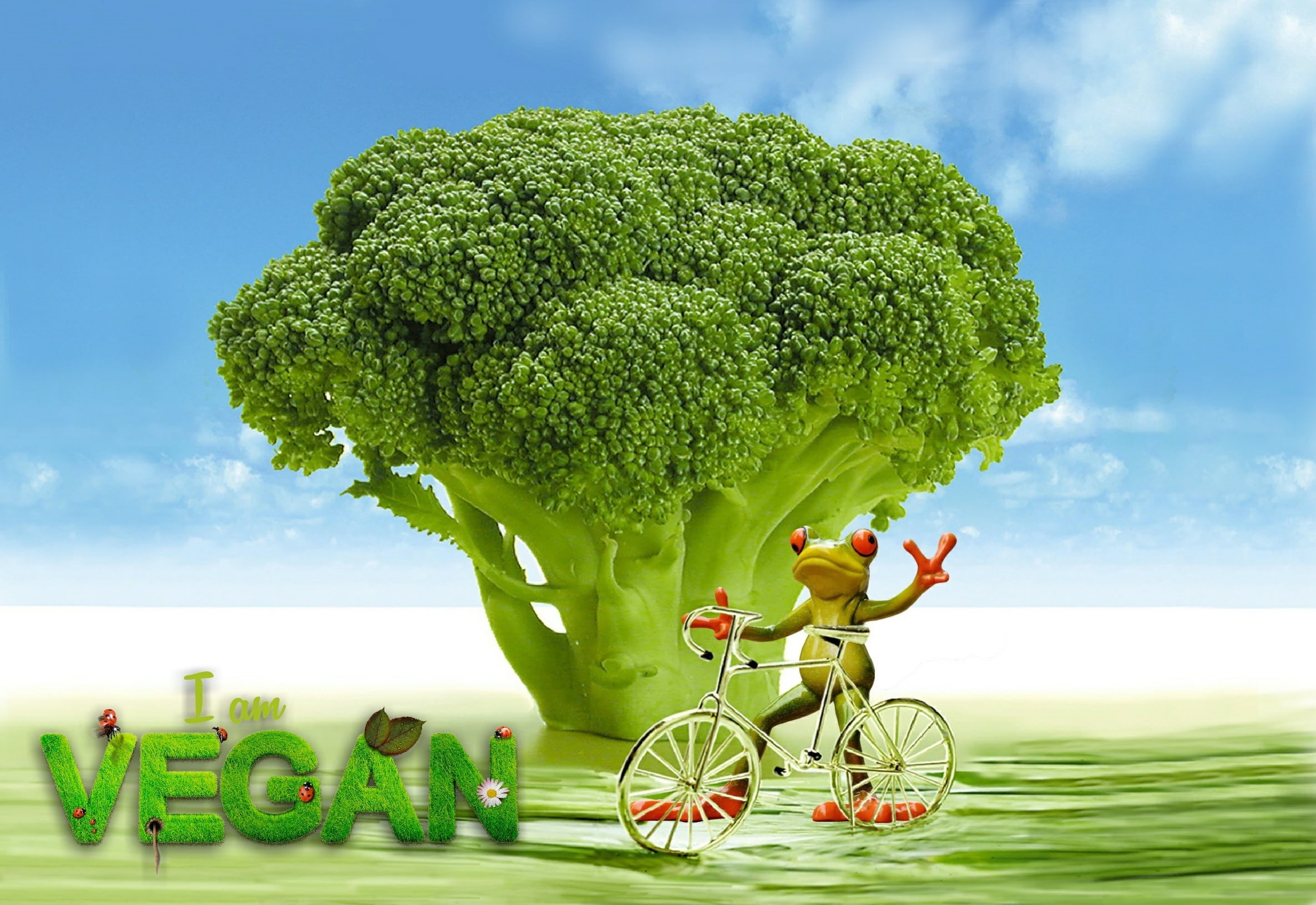sky, ingredients, organic, cloud - sky, picked up, delicious, frog, appetite, wellbeing, bicycle, kitchen, nourishing, stalk, white, leaf, eat, fiber, digital, HD Wallpaper
