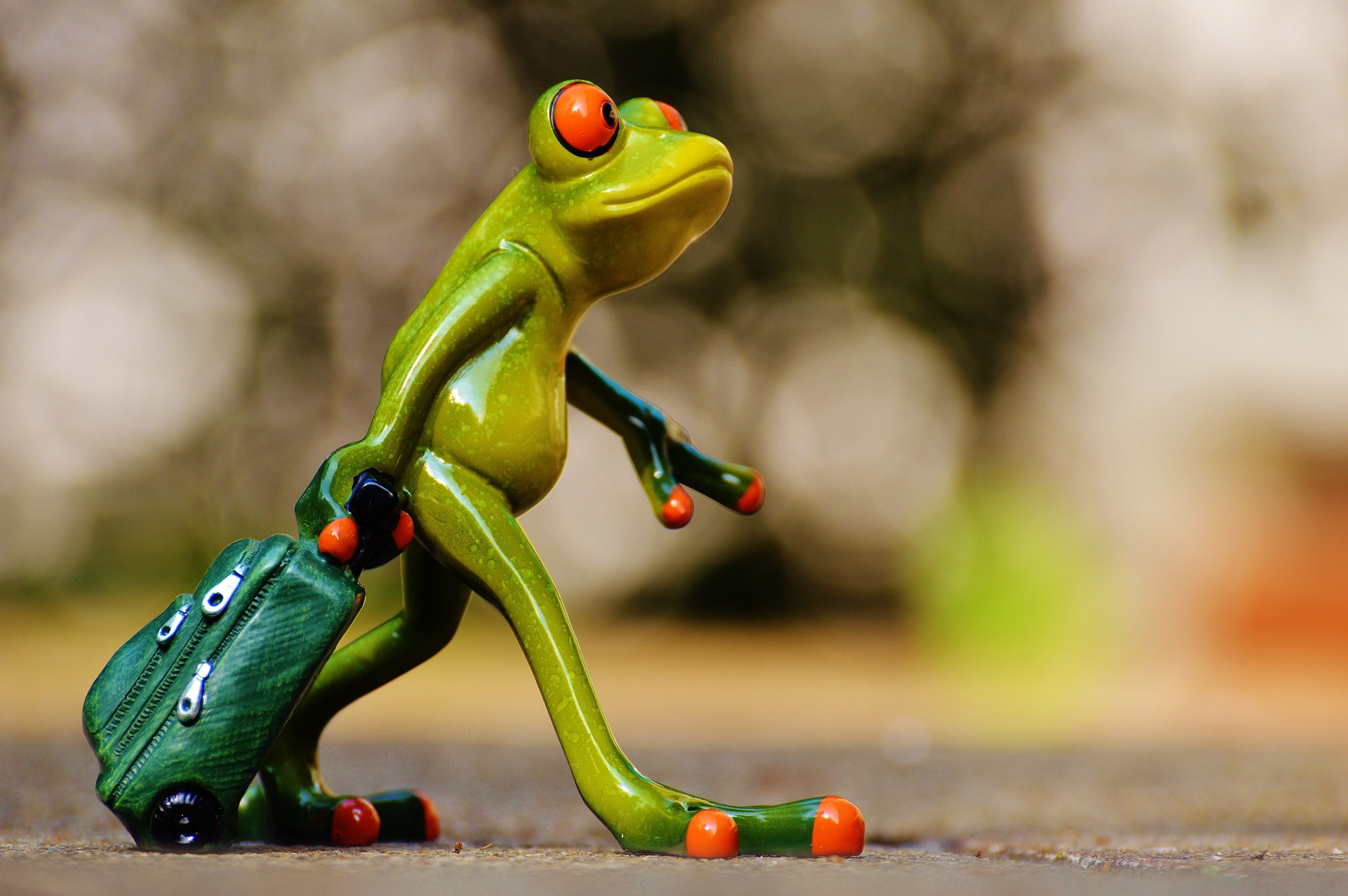 go away, welcome, trolley, luggage, green, fruit, eyed, close-up, cute, pepper, beautiful, travel, figure, table, selective focus, frog, arrive, food, HD Wallpaper