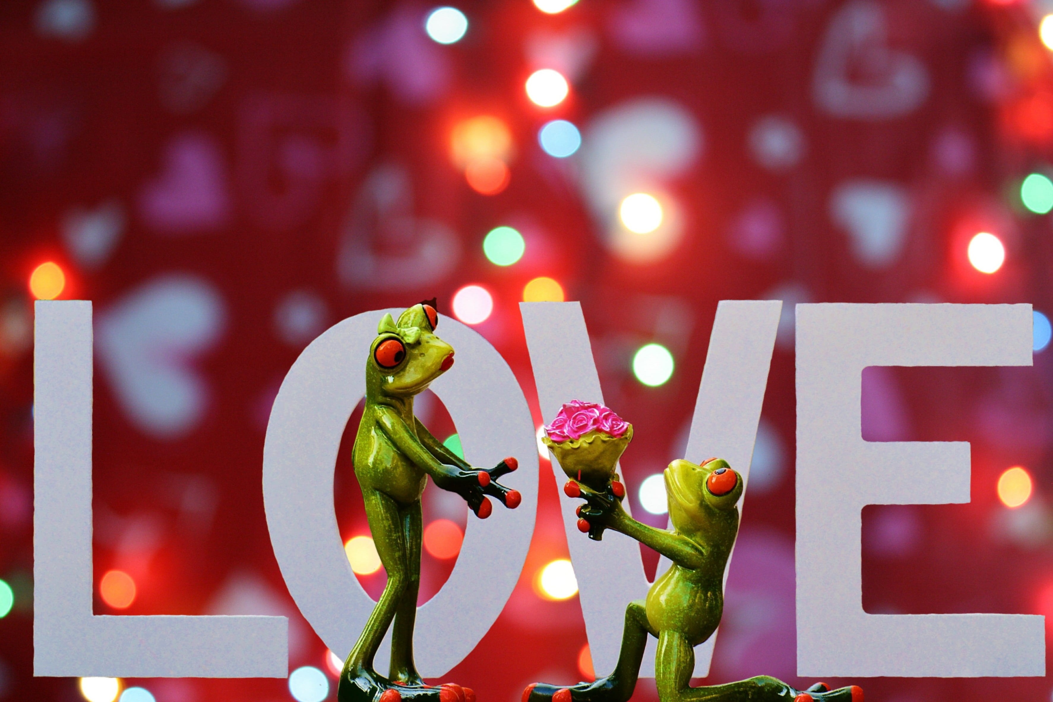 greeting card, romance, holiday - event, frogs, lovers, affection, burning, no people, christmas, graphic, religion, female, lighting equipment, two, relationship, HD Wallpaper