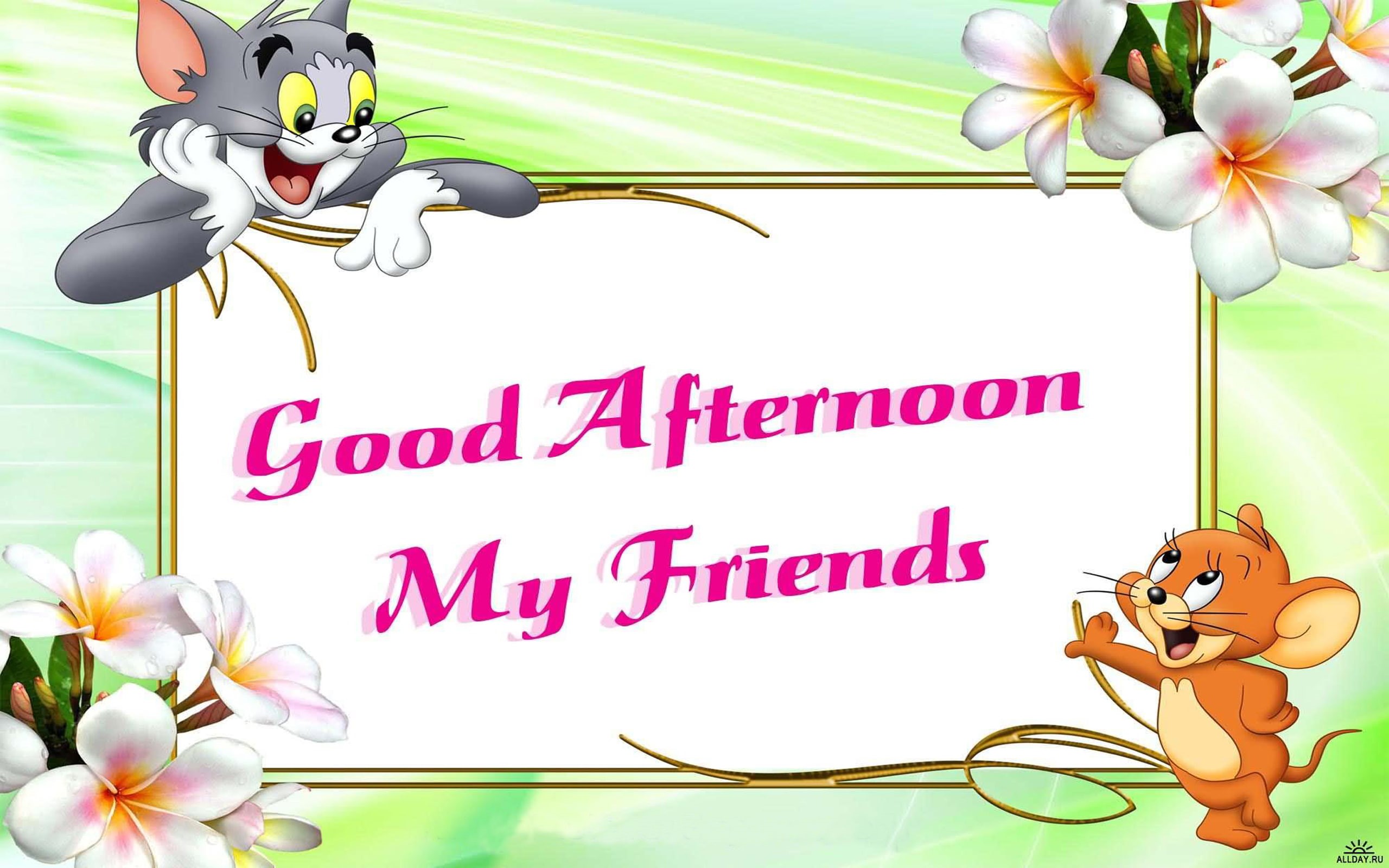 2K, good, wish, desktop, phones, jerry, hd, tom, afternoon, tablet, mobile, friends, pc, HD Wallpaper