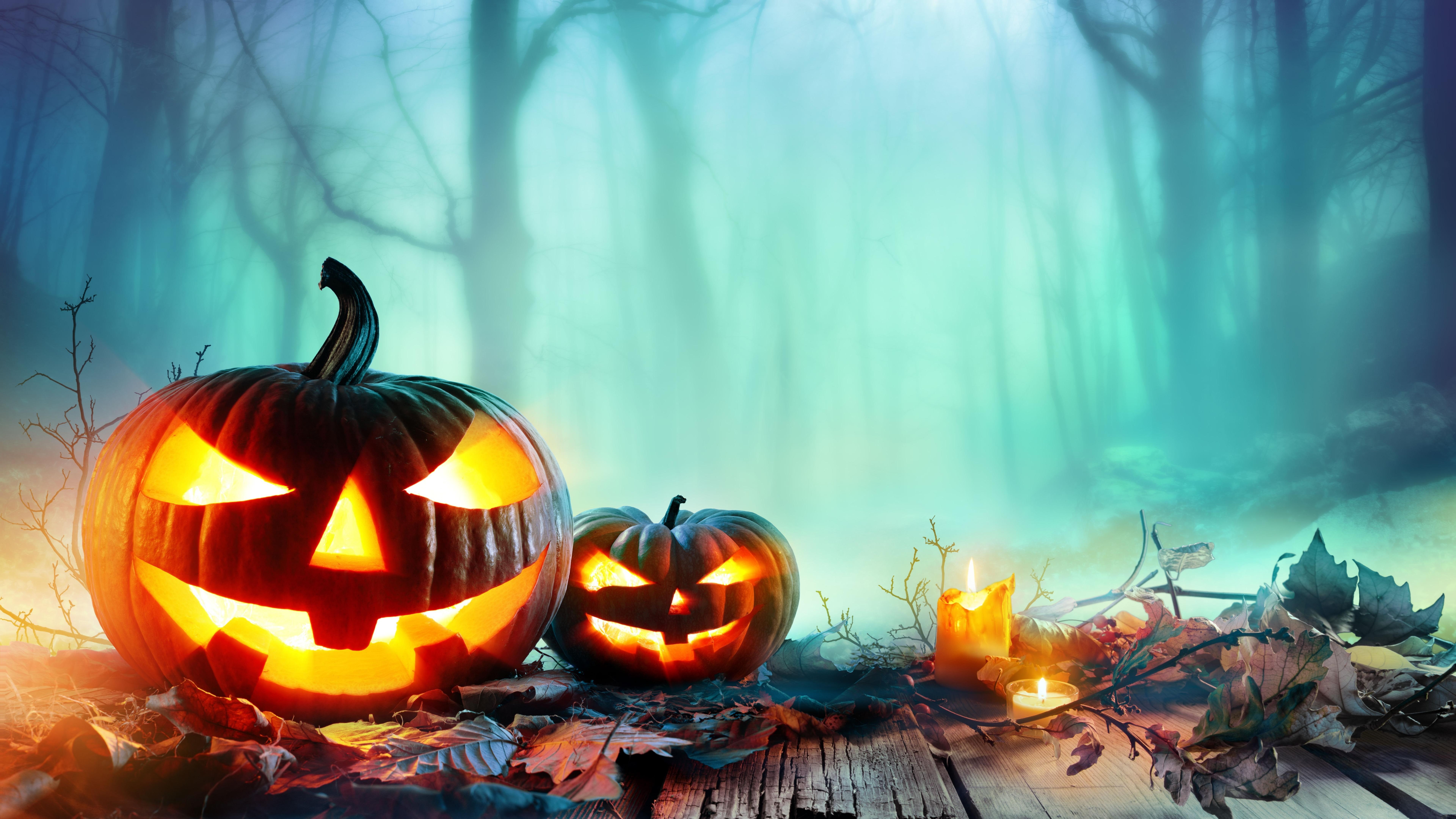 pumpkin, autumn, halloween, jack o lantern, candle, calabaza, pumpkins, 8K, HD Wallpaper