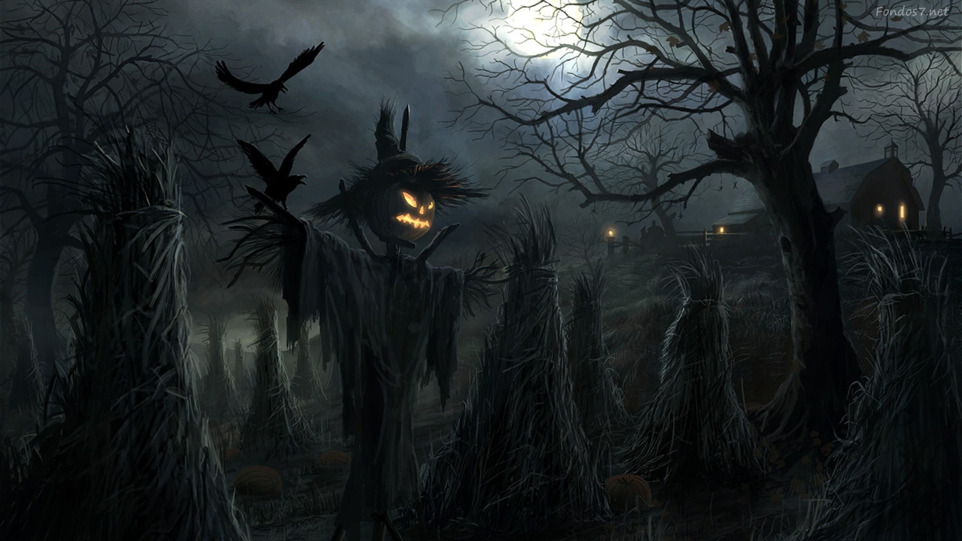 Jack O Lantern, 1080P, Halloween, HD Wallpaper