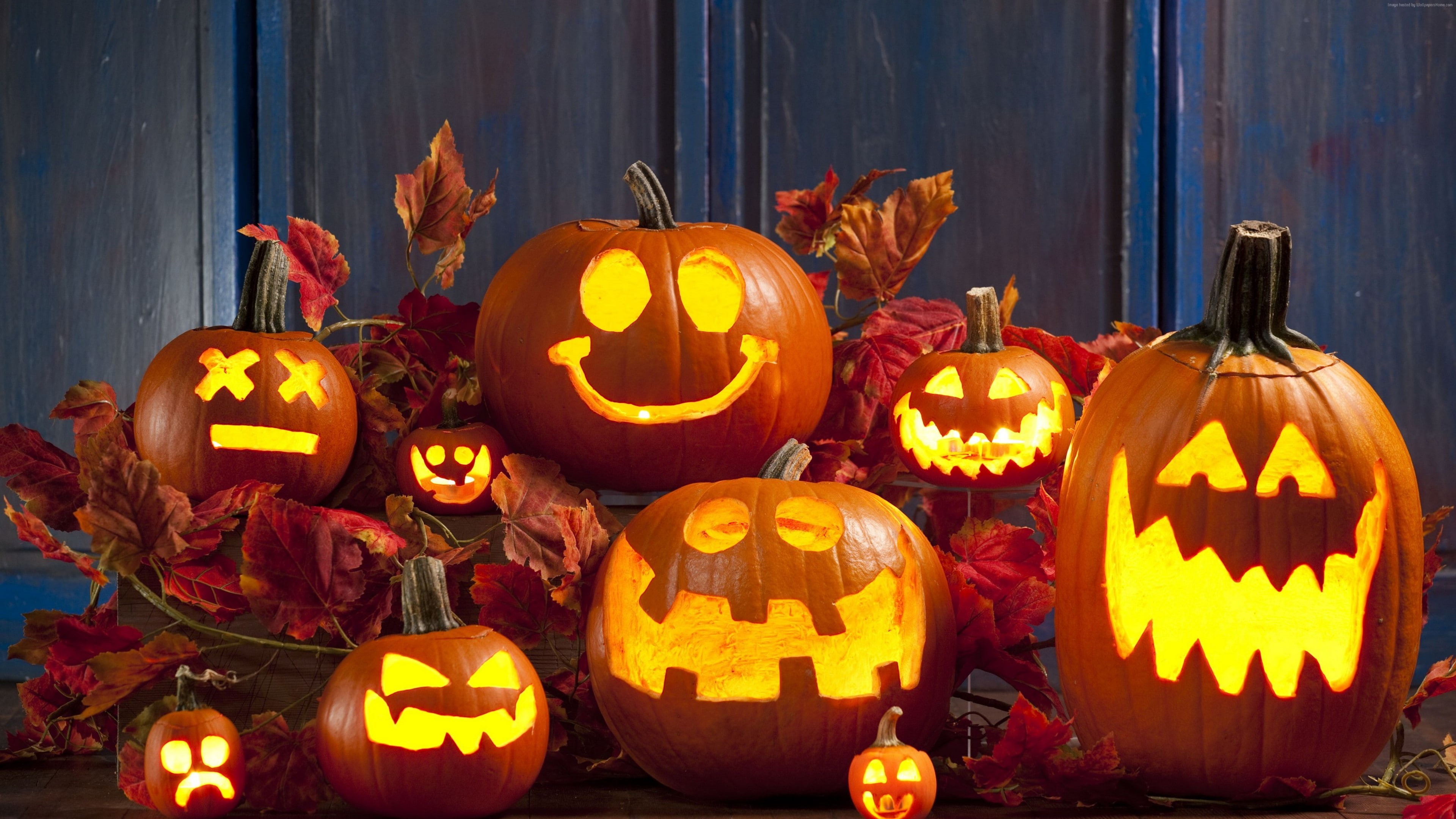 calabaza, halloween, 4K, jack o lantern, cucurbita, decoration, pumpkin, HD Wallpaper