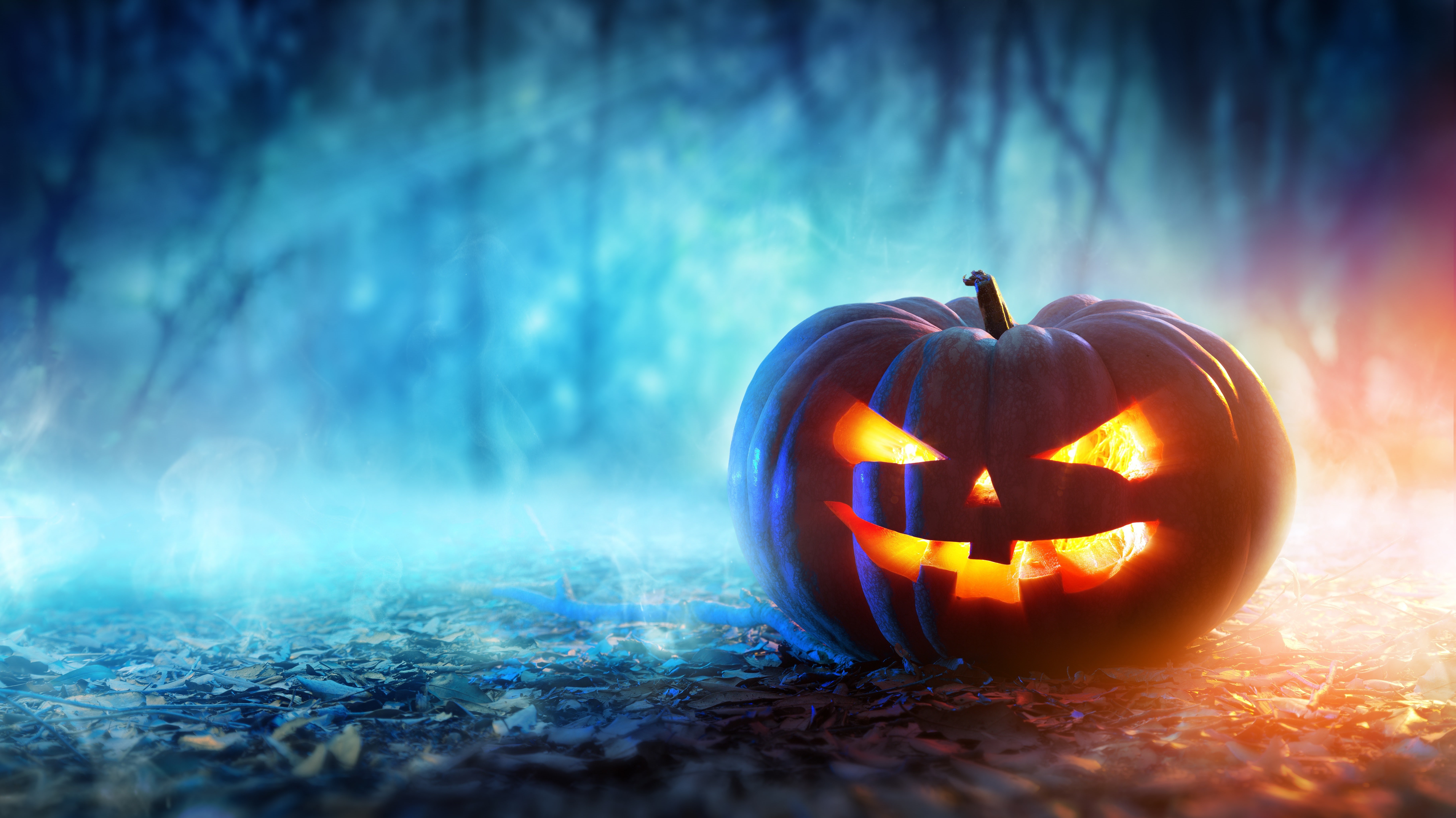 depth of field, digital art, pumpkin, 5K, Jack O Lantern, Halloween, HD Wallpaper