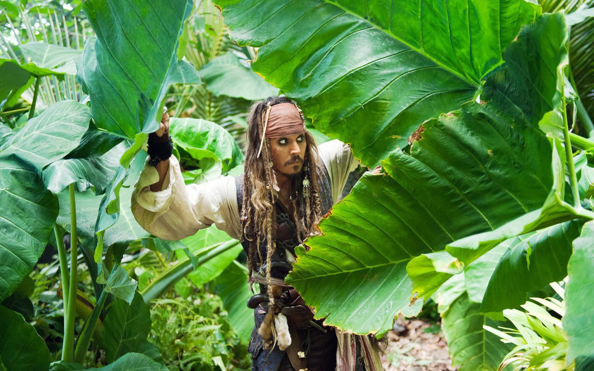 plant, outdoors, hair, looking at camera, depp, farmer, lifestyles, pirates of the Caribbean 4, leaves, portrait, crop, plant part, summer, long hair, freshness, HD Wallpaper